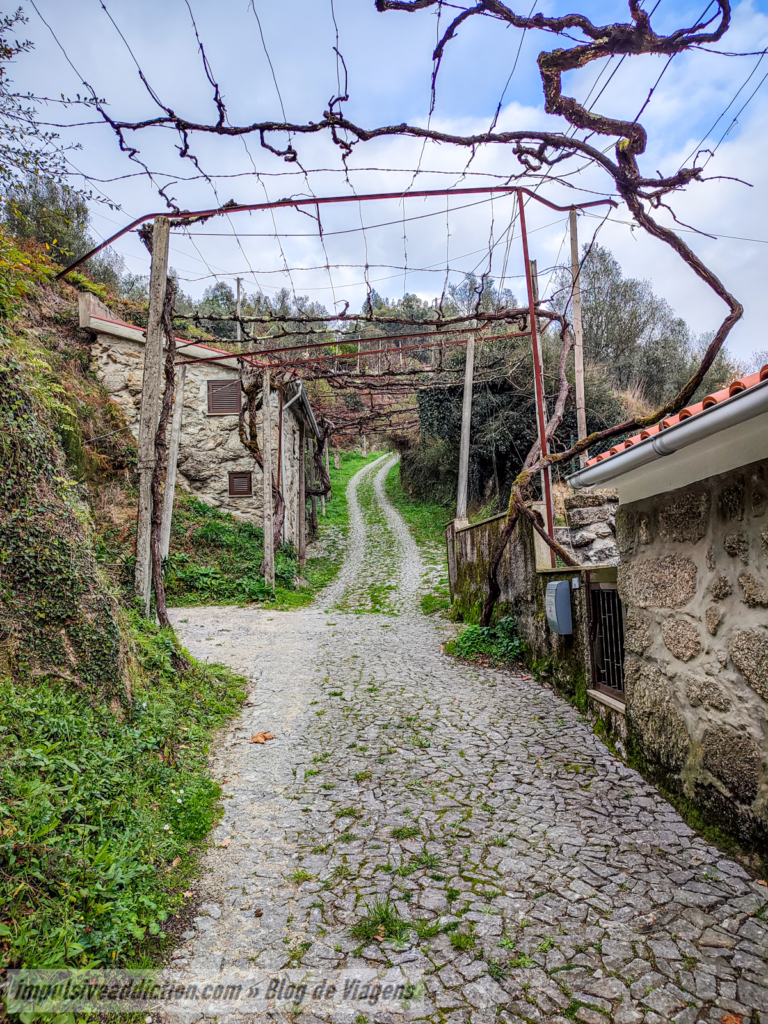 Aldeia de Lamedo