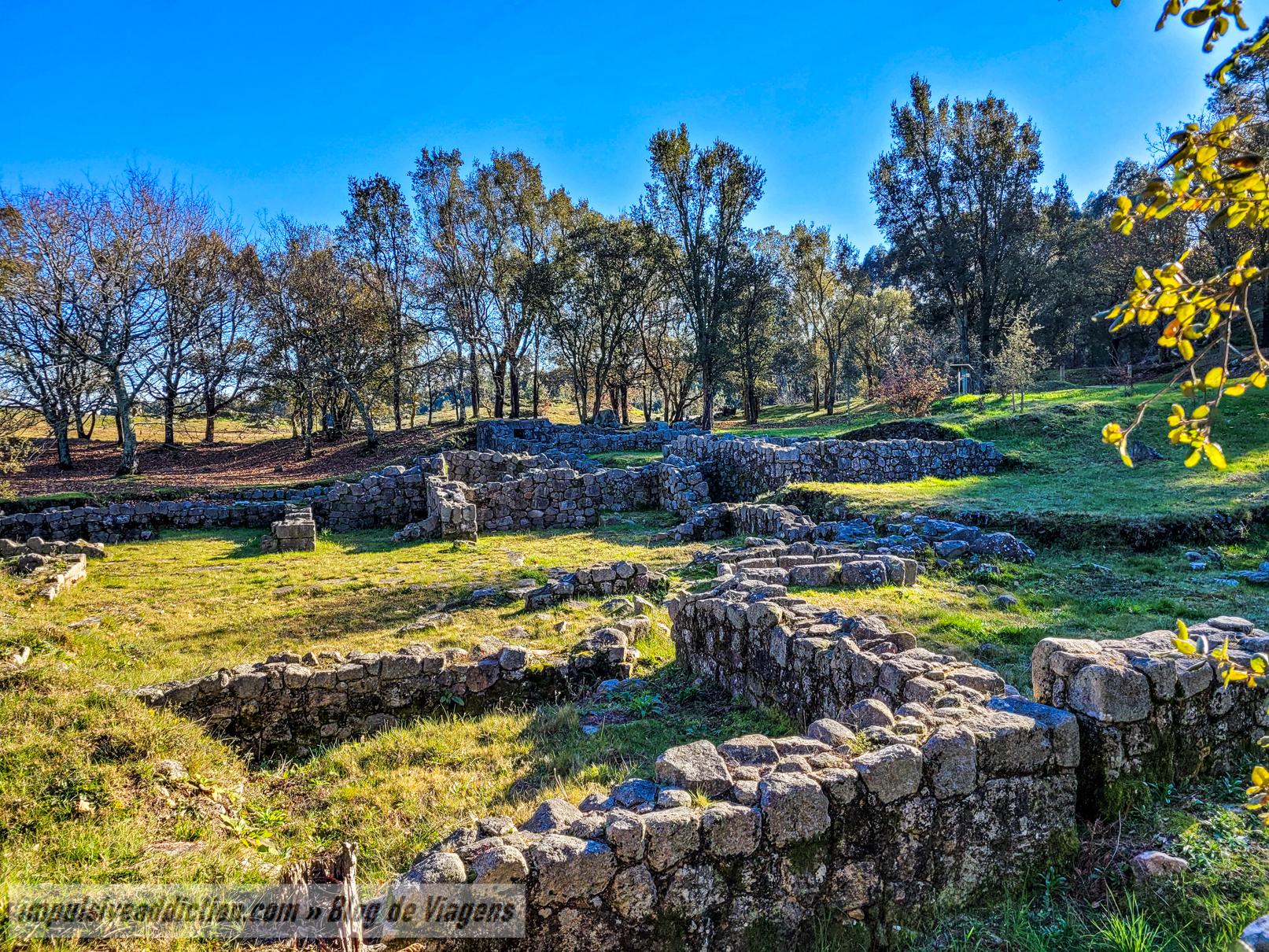 Castro de Alvarelhos