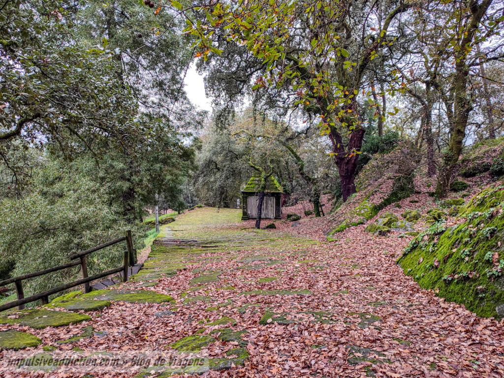 Caminho de descida do Monte do Pilar