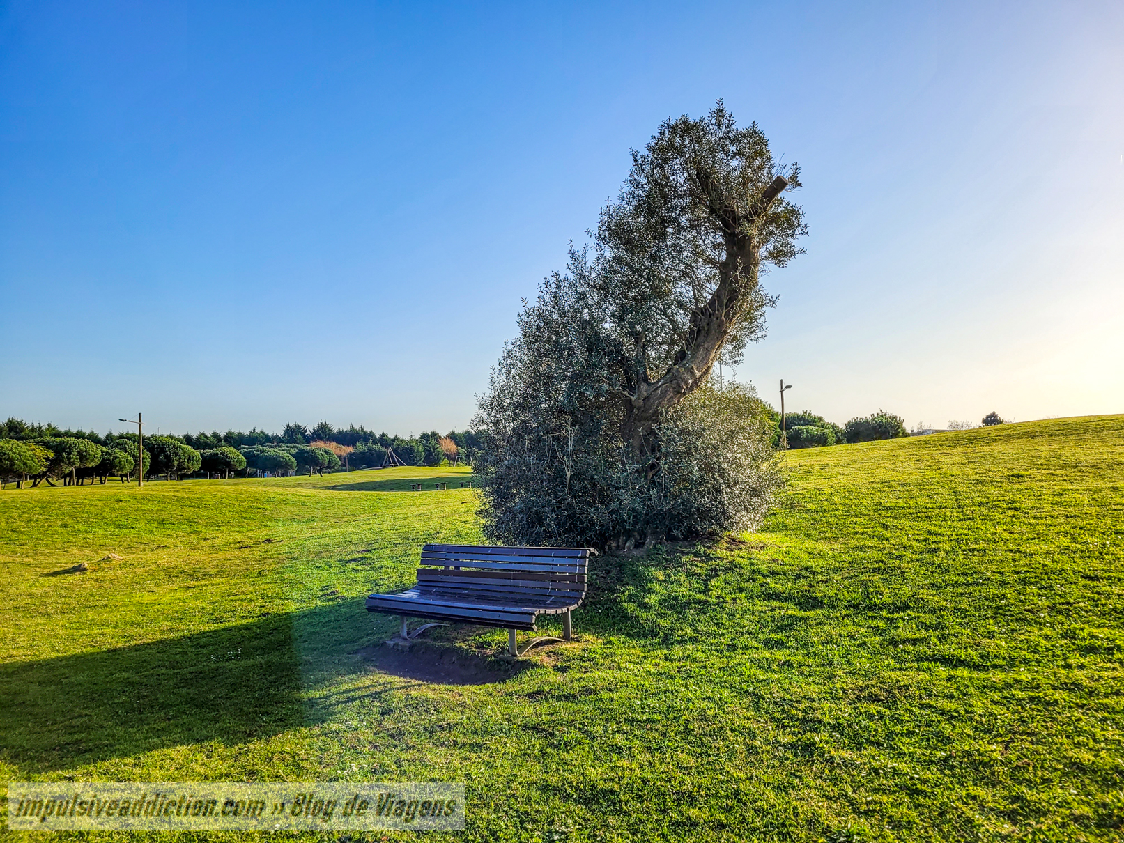 Parque da Cidade de Póvoa de Varzim