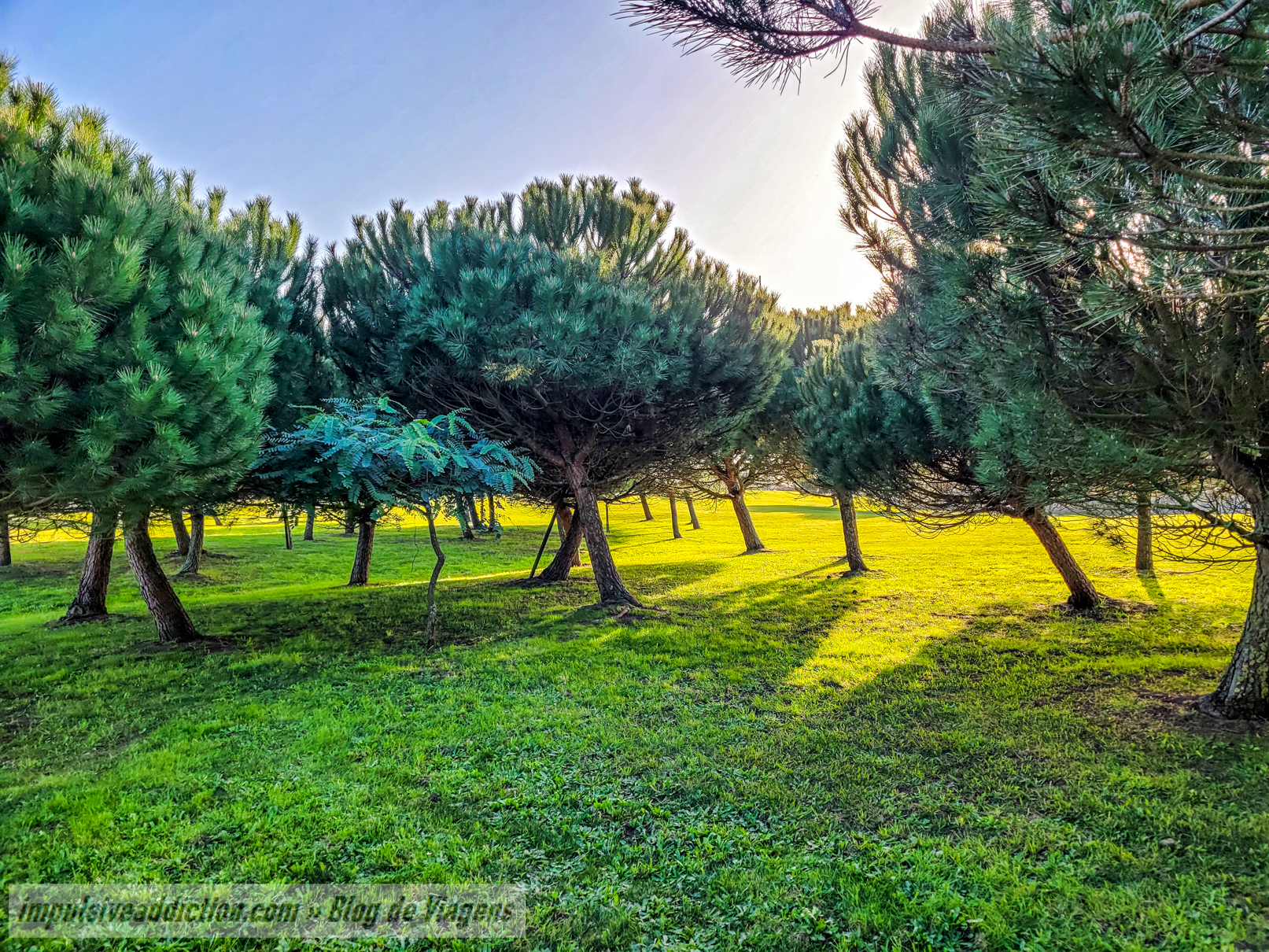 Parque da Cidade de Póvoa de Varzim