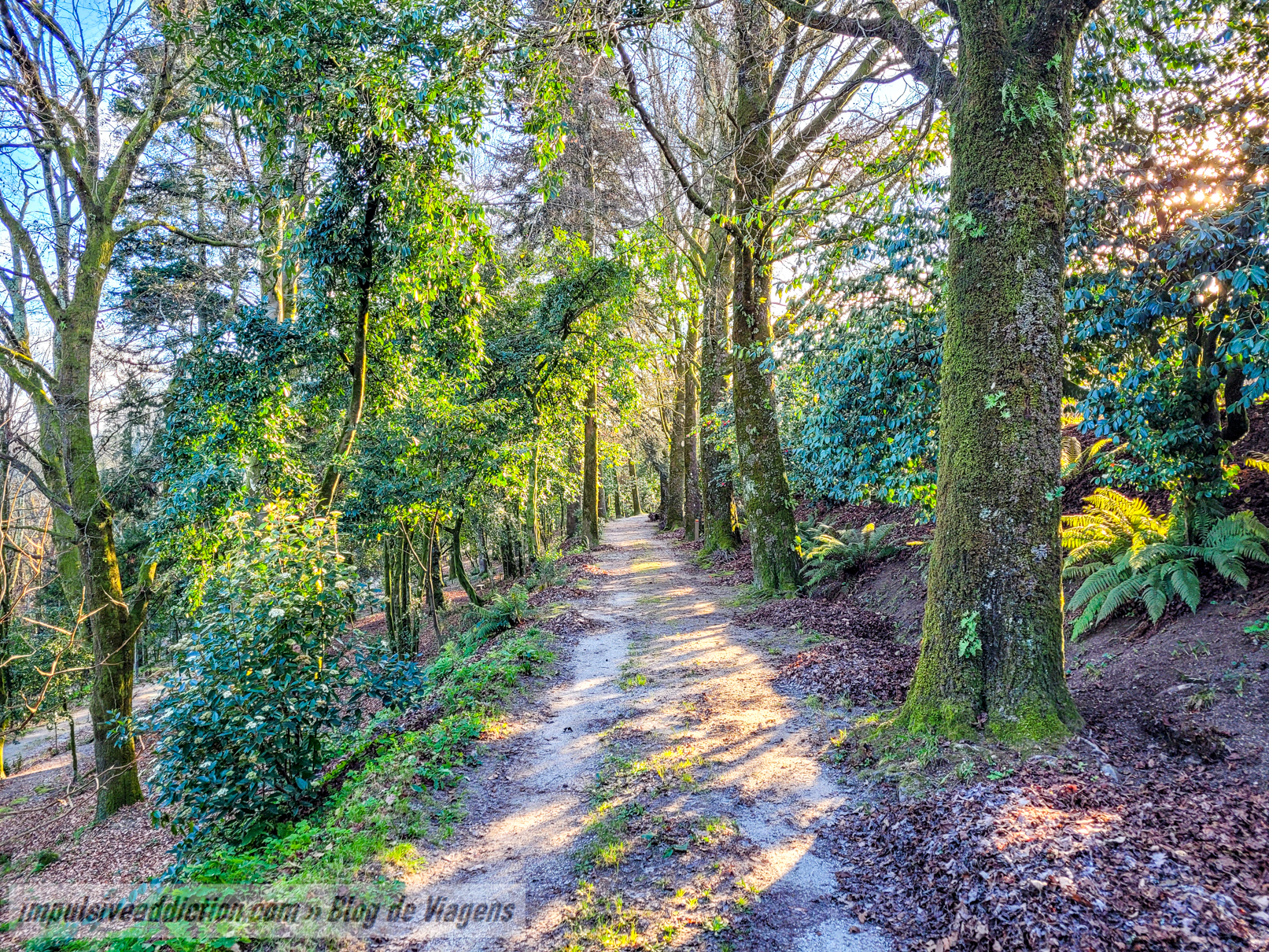 Parque Florestal de Vieira do Minho