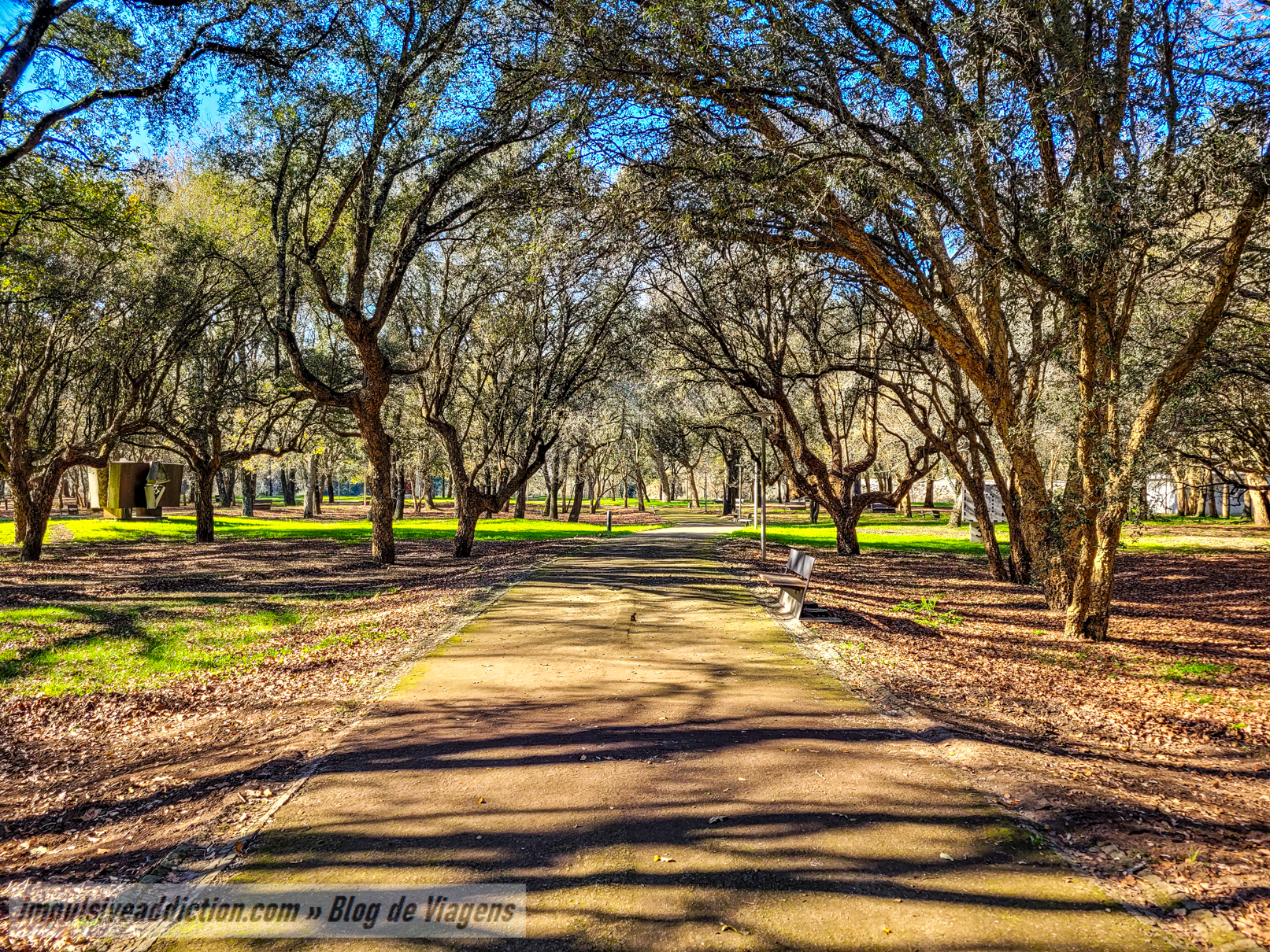 Parque Urbano de Sara Moreira