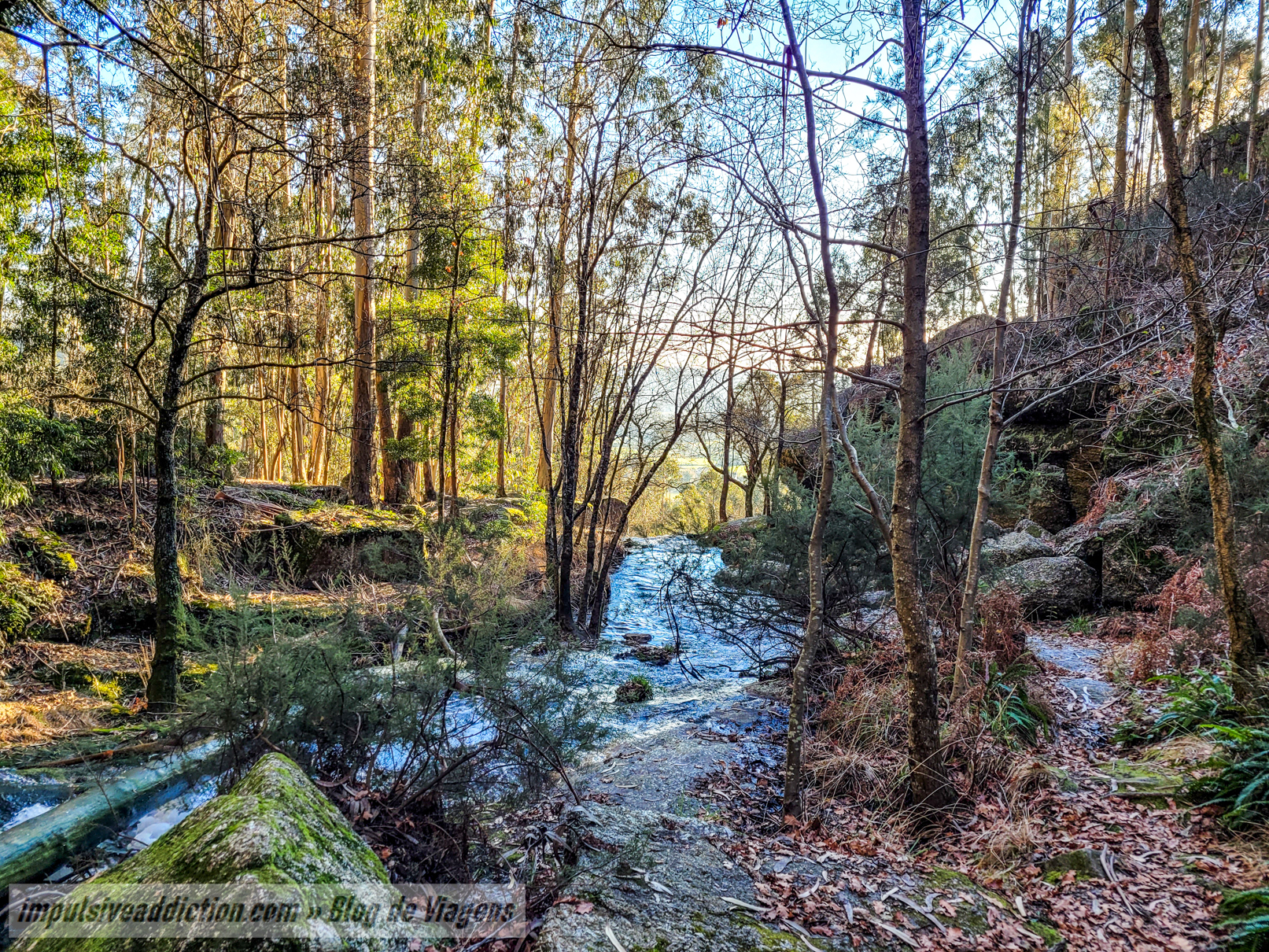 Quedas da Fervença do rio Leça