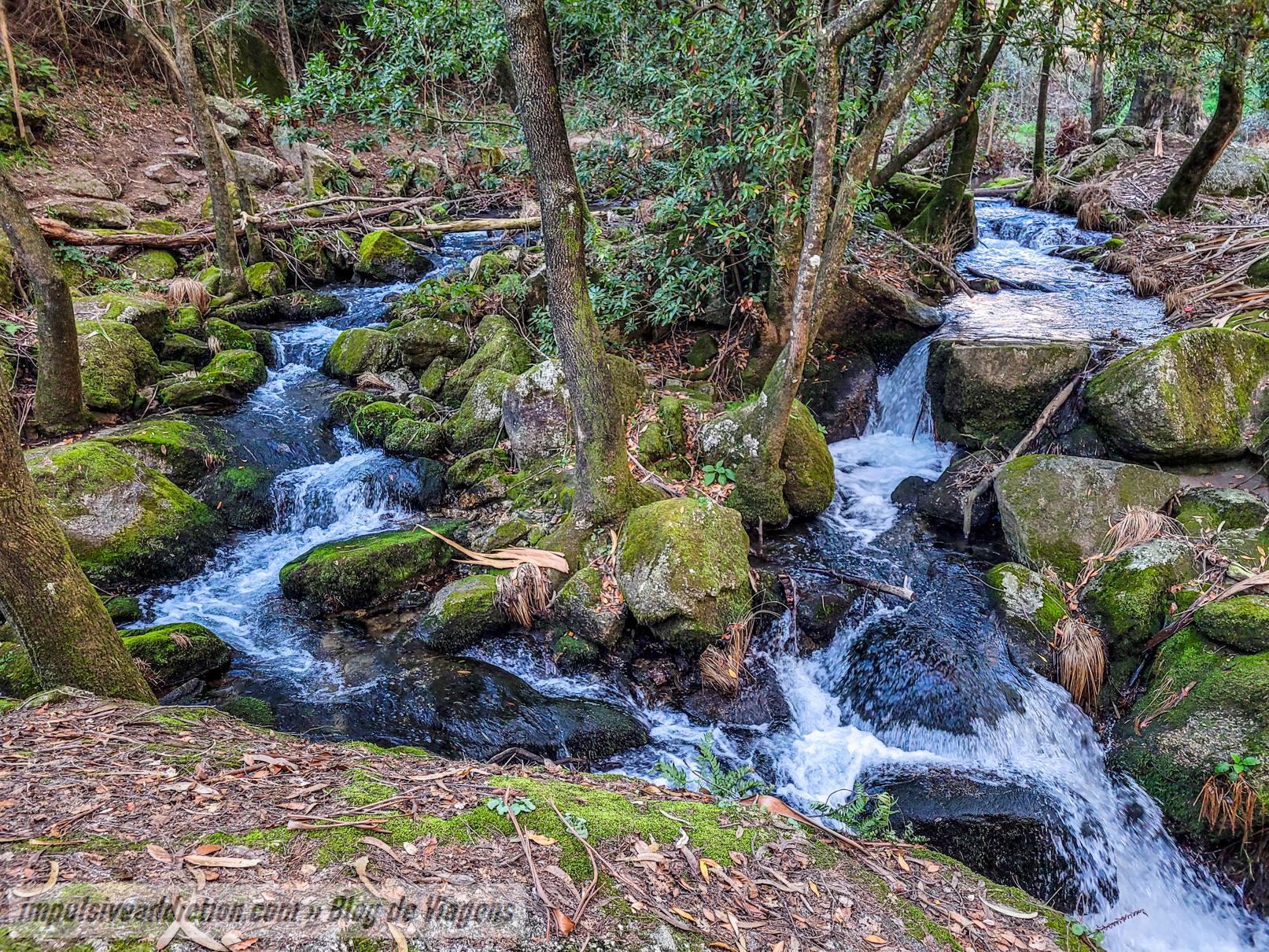 Quedas da Fervença do rio Leça