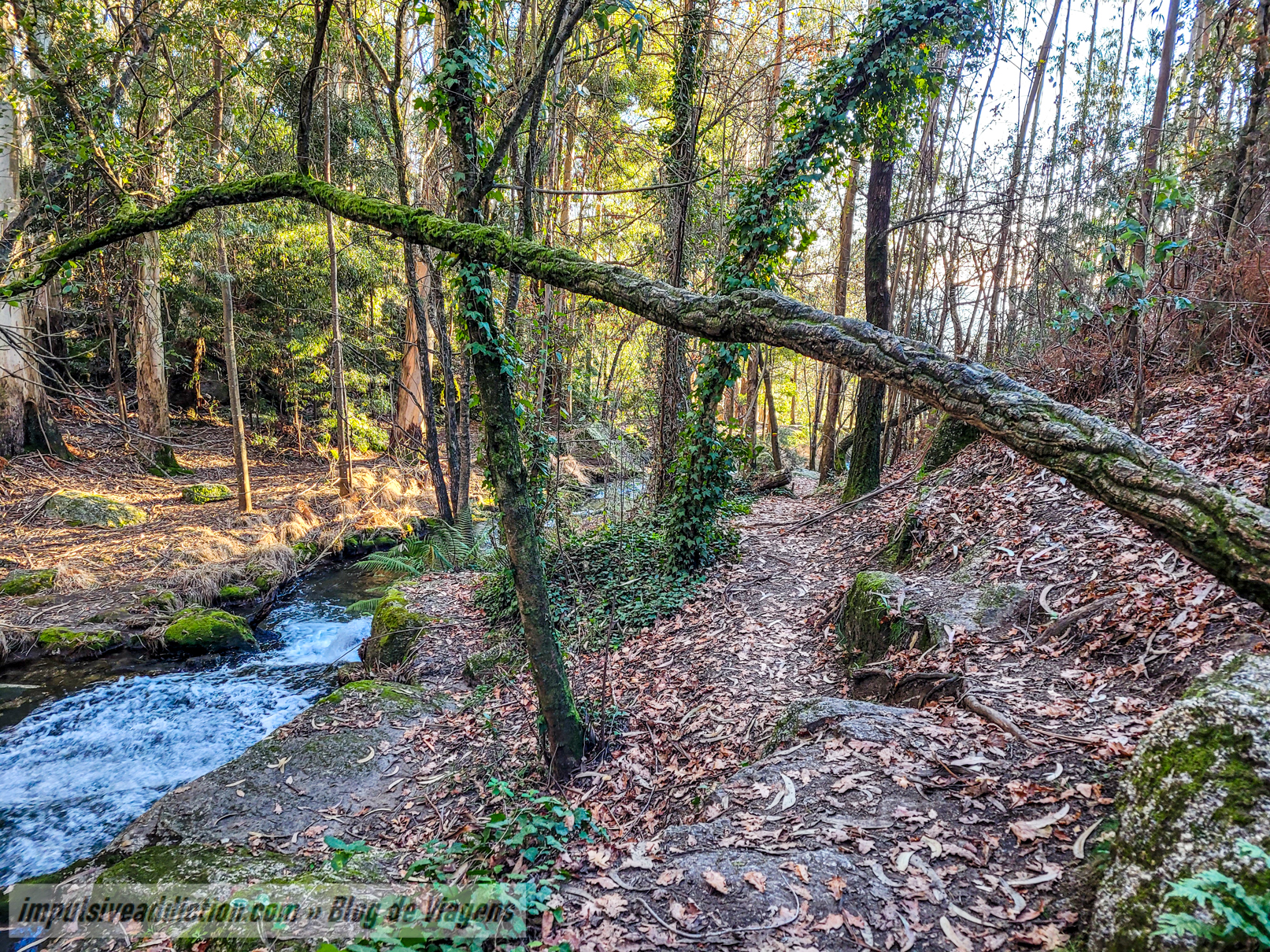 Quedas da Fervença do rio Leça