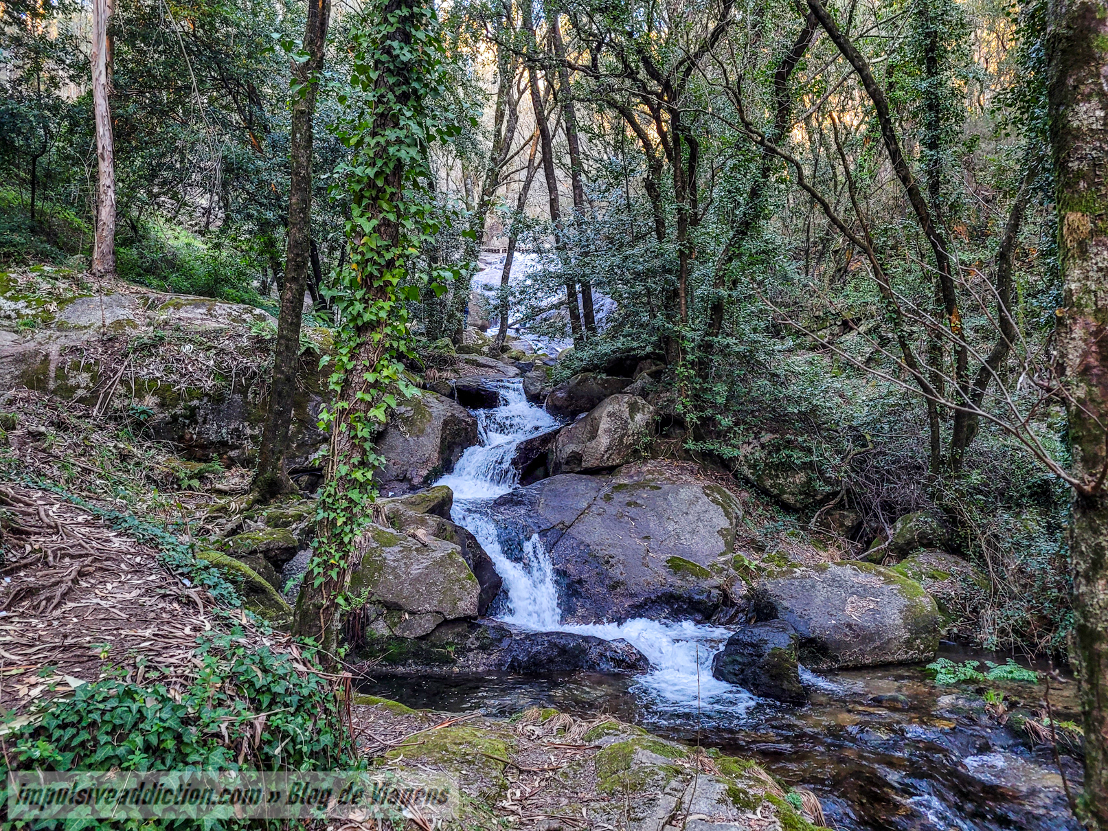 Quedas da Fervença do rio Leça