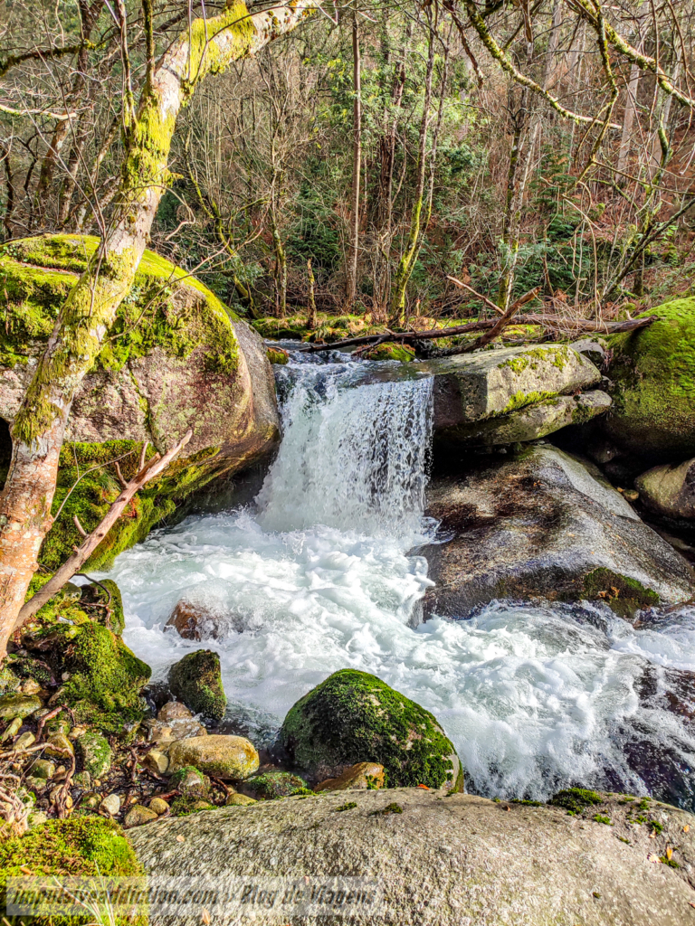Trilho da Cascata da Candosa e Moinhos do Ave