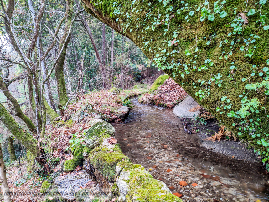 Trilho da Cascata da Candosa e Moinhos do Ave