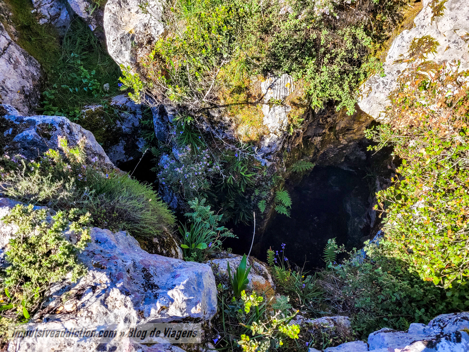 Algar das Gralhas