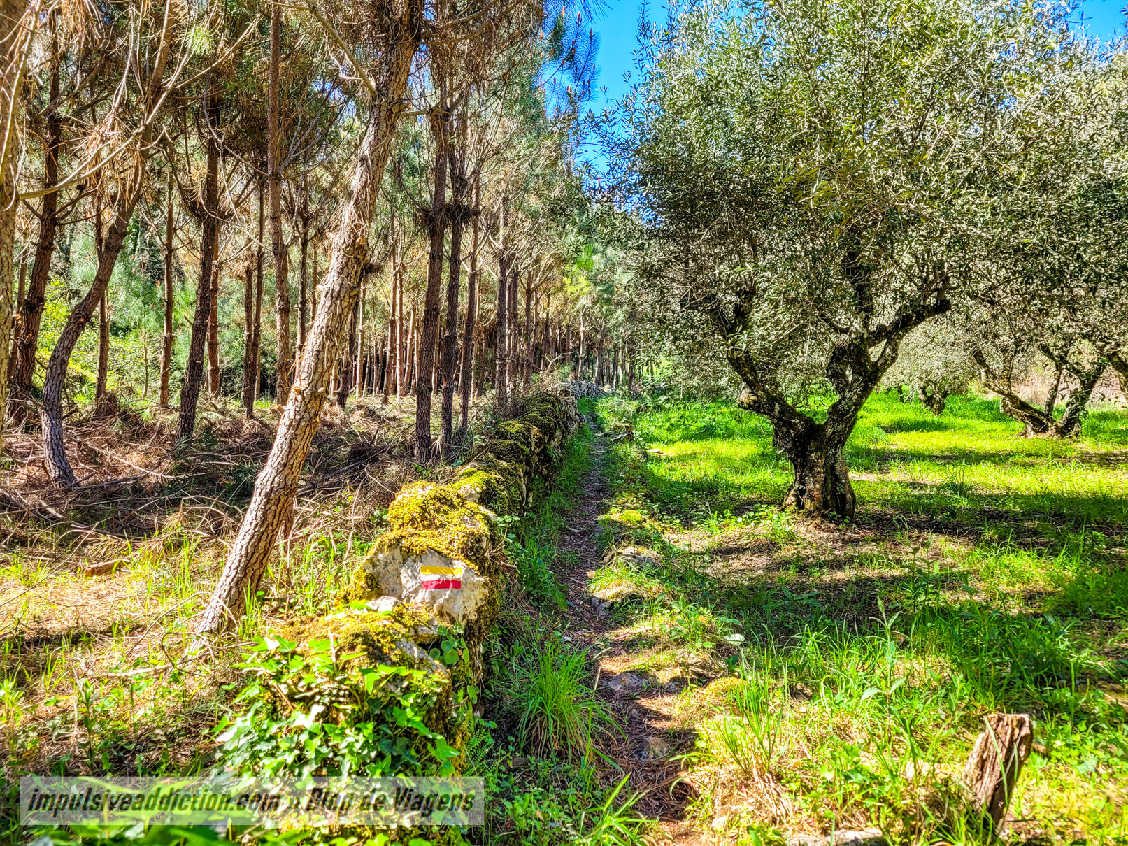 Caminho da Estrada Romana de Casais de São Mamede