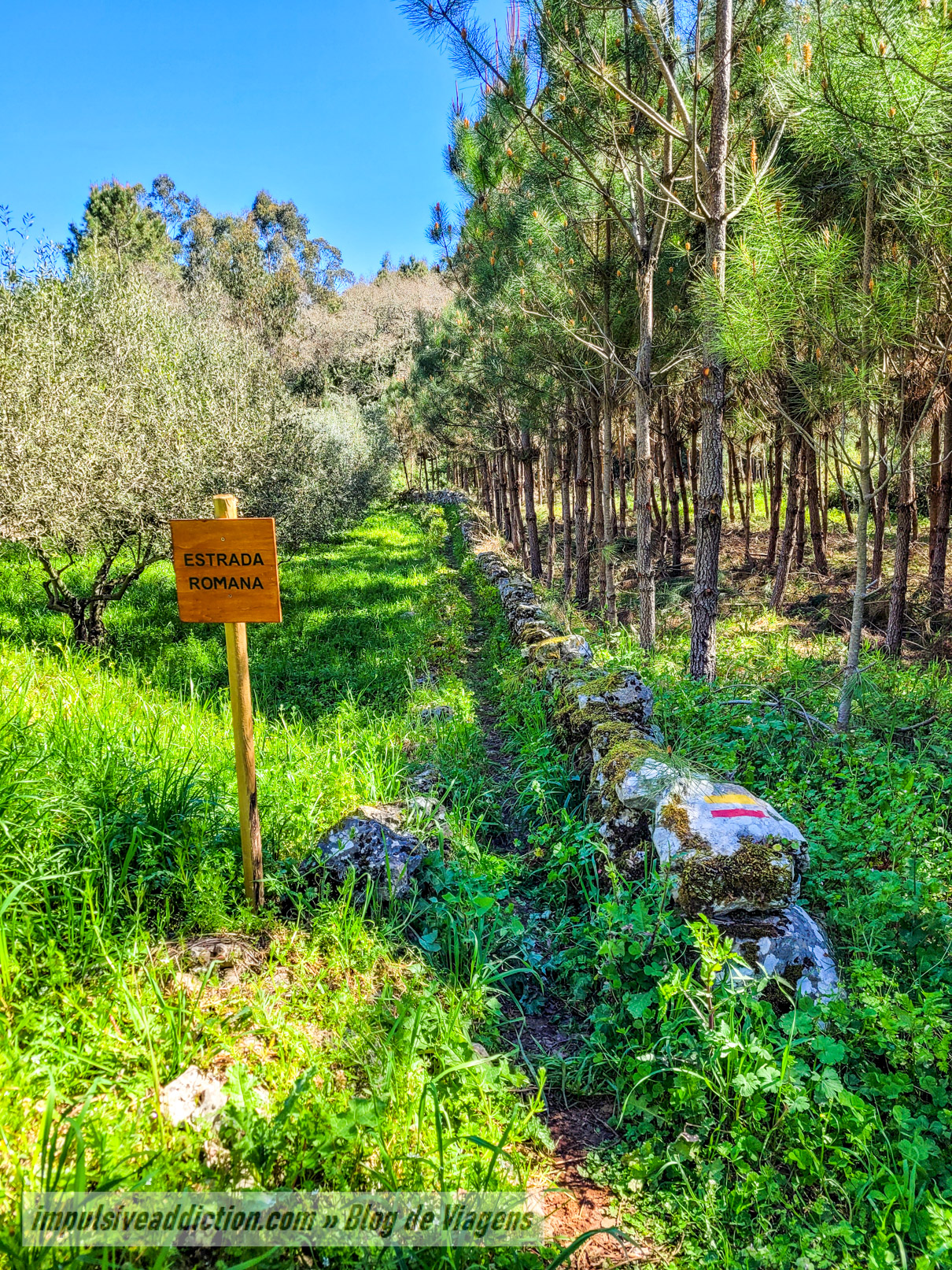 Caminho da Estrada Romana de Casais de São Mamede