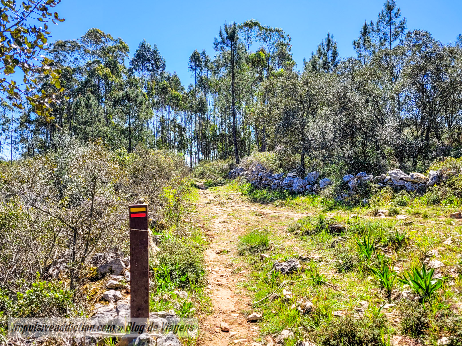Nova subida para o monte
