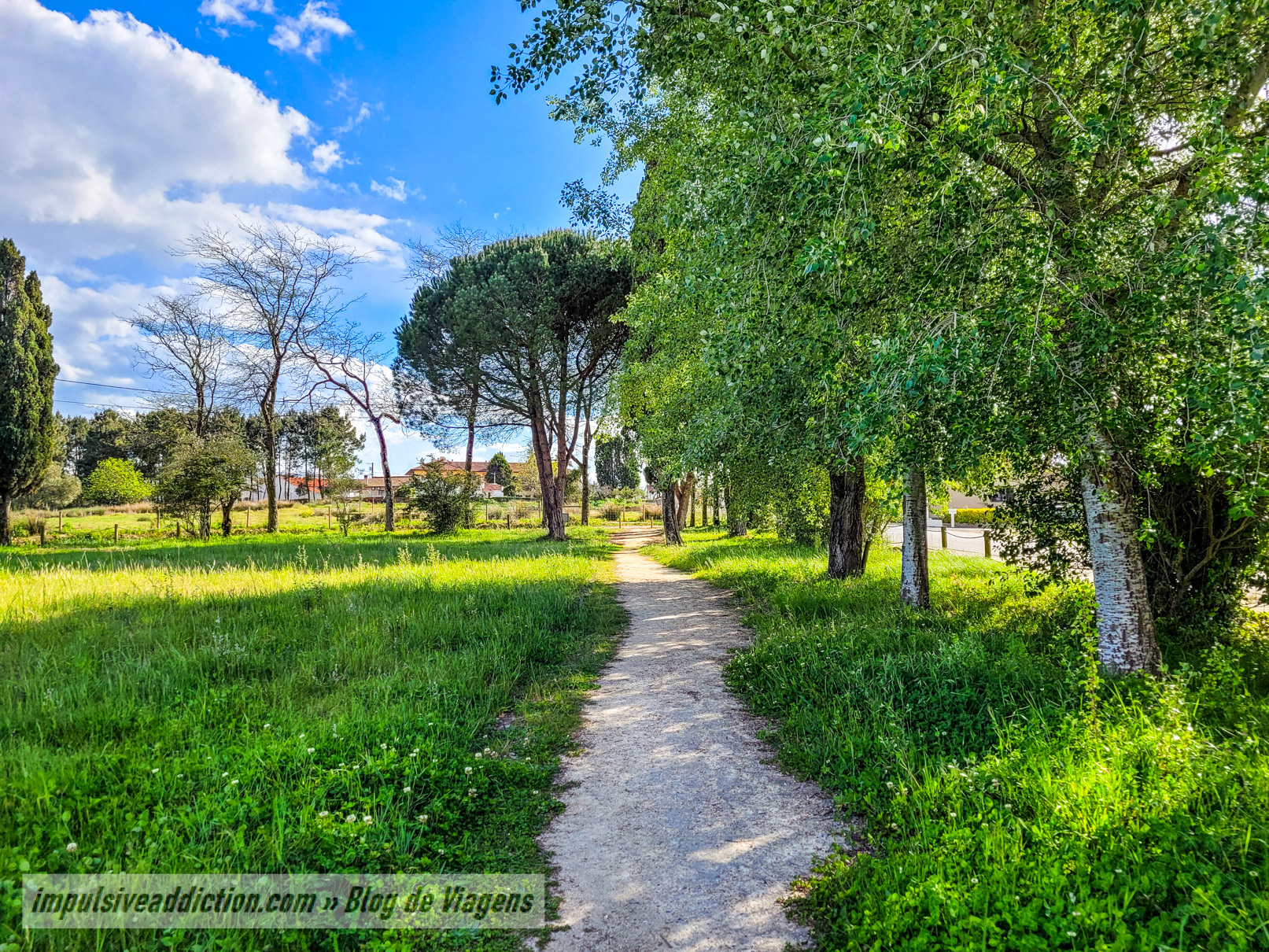 Field of the Battle of Aljubarrota
