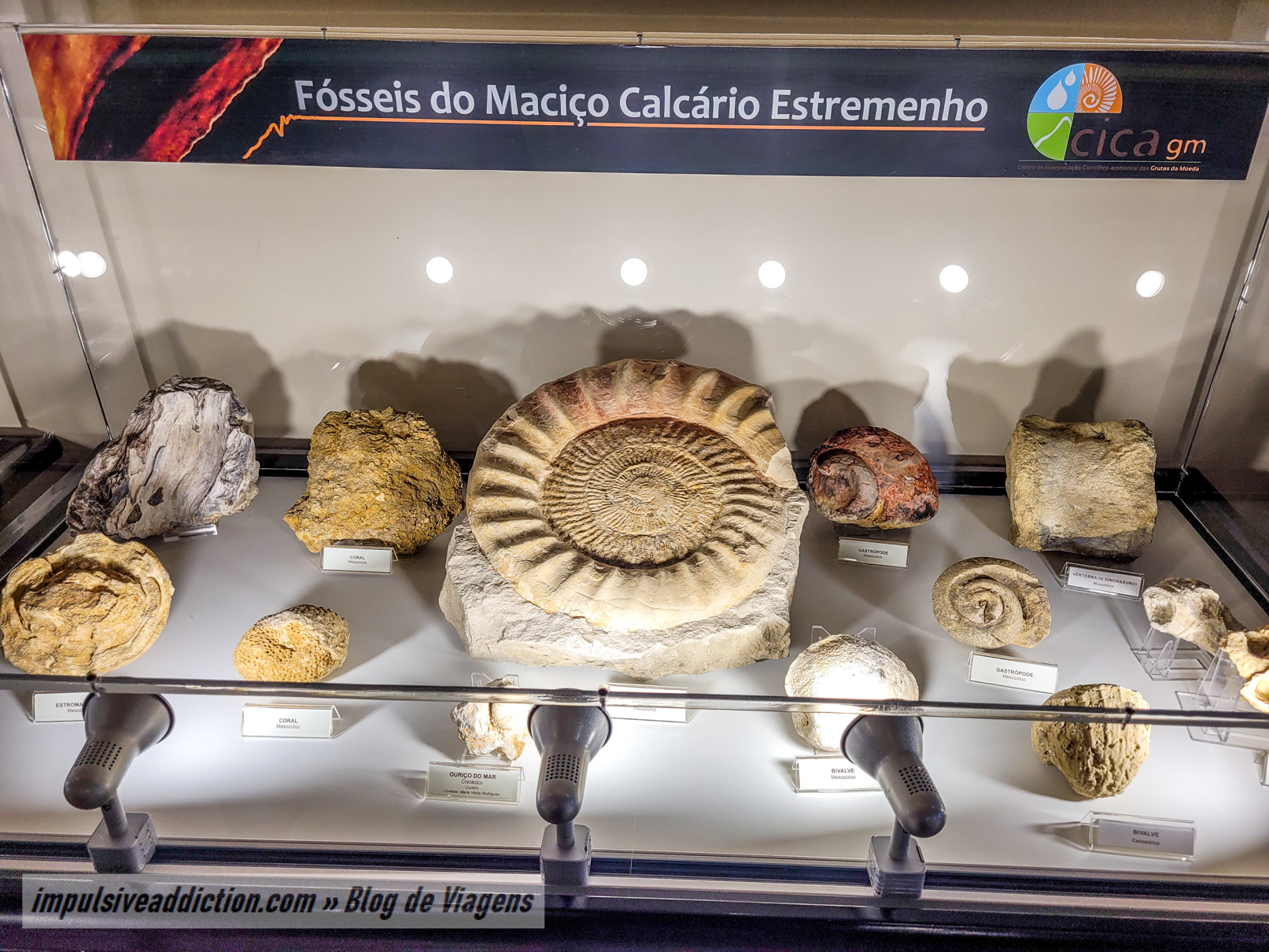 Exposição de Fósseis das Grutas da Moeda