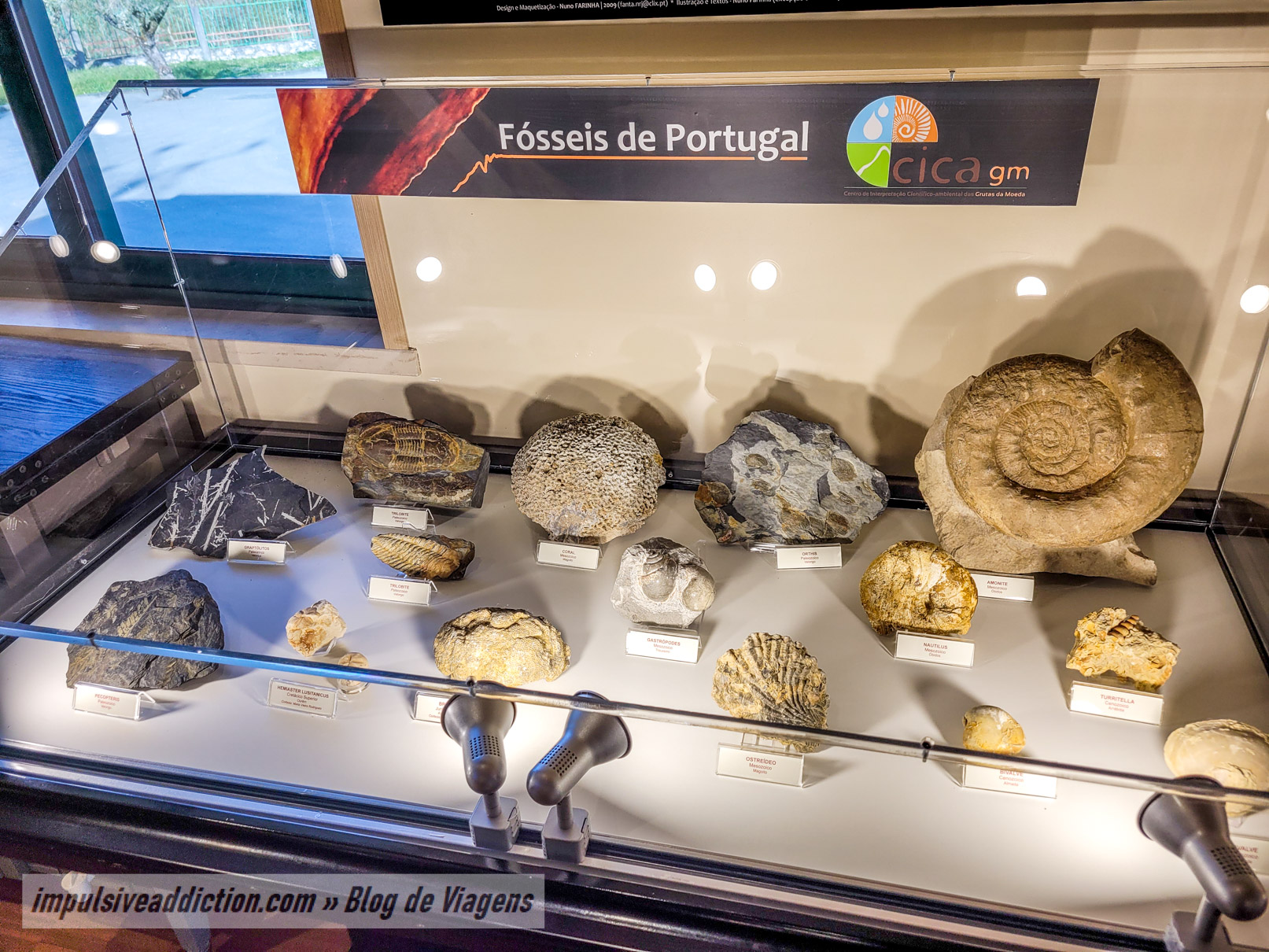 Exhibition of Fossils from the Coin Caves