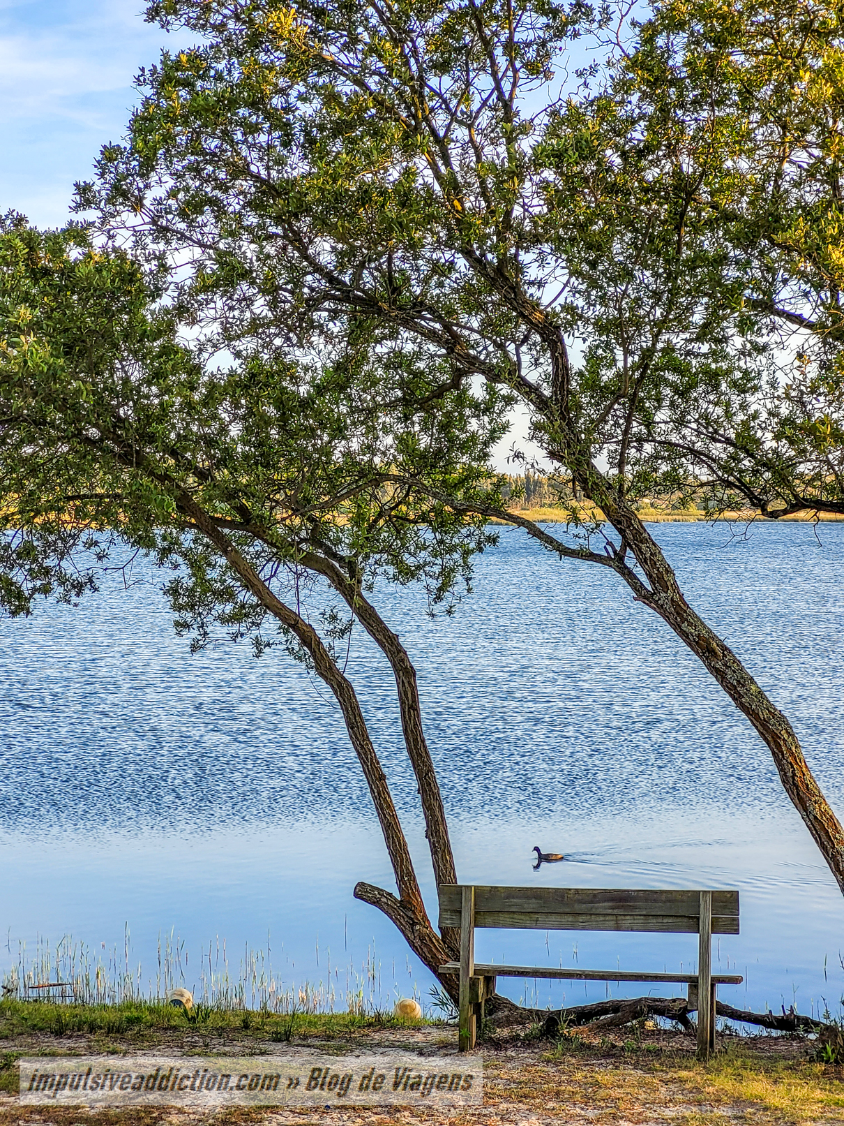 Tranquilidade da Lagoa da Ervedeira