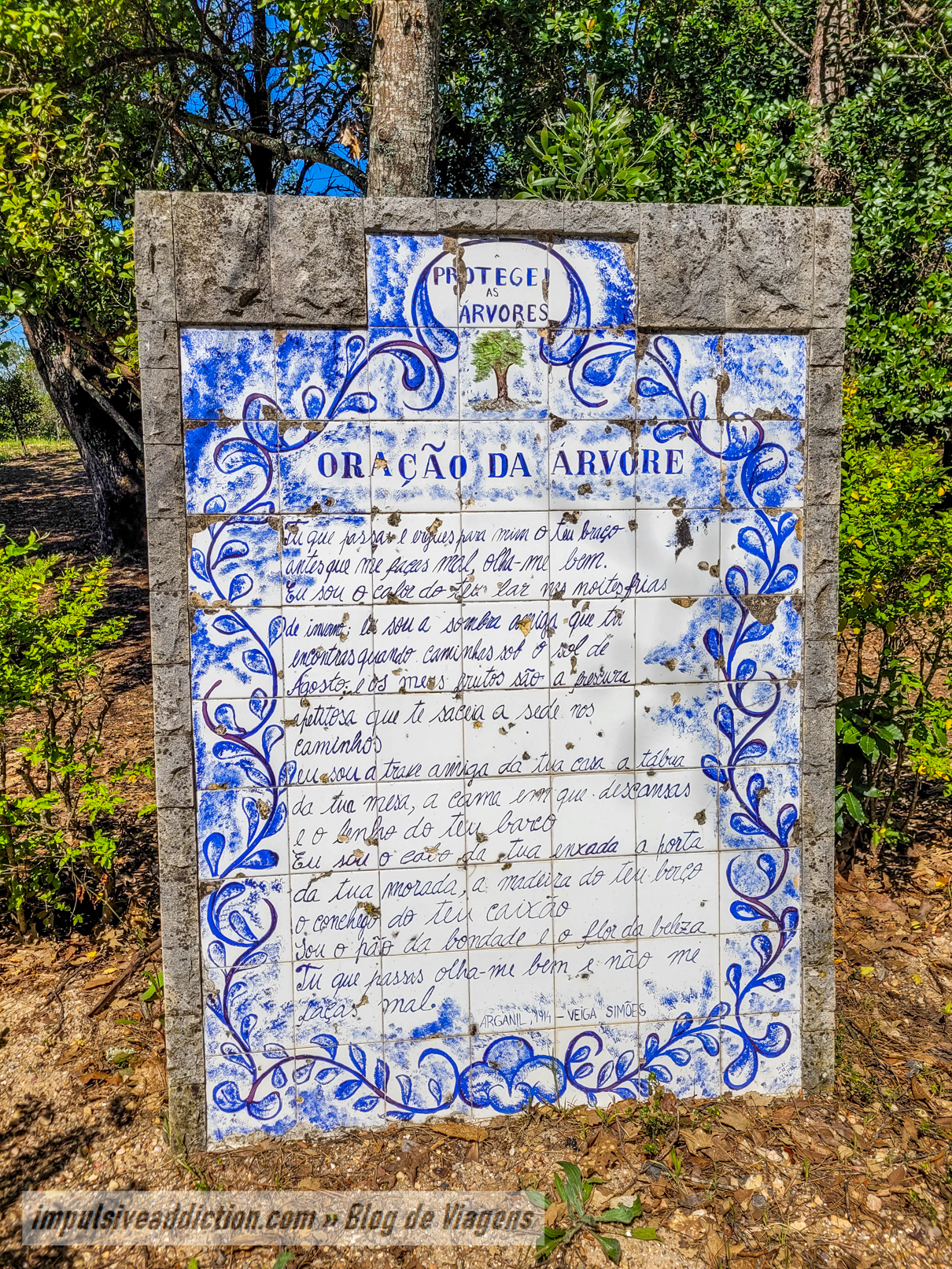 Oração da Árvore da Mata Municipal de Ansião