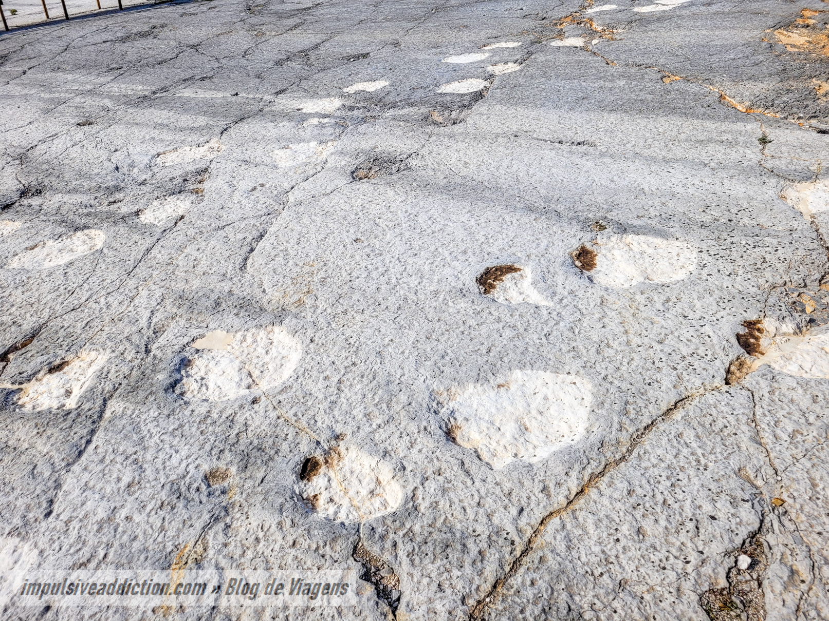 Trilhos de Pegadas de Dinossauros em branco