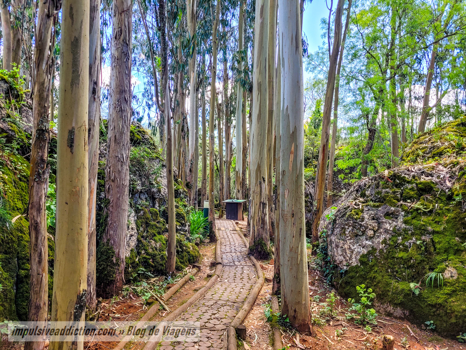 Pia do Urso Sensory Ecopark