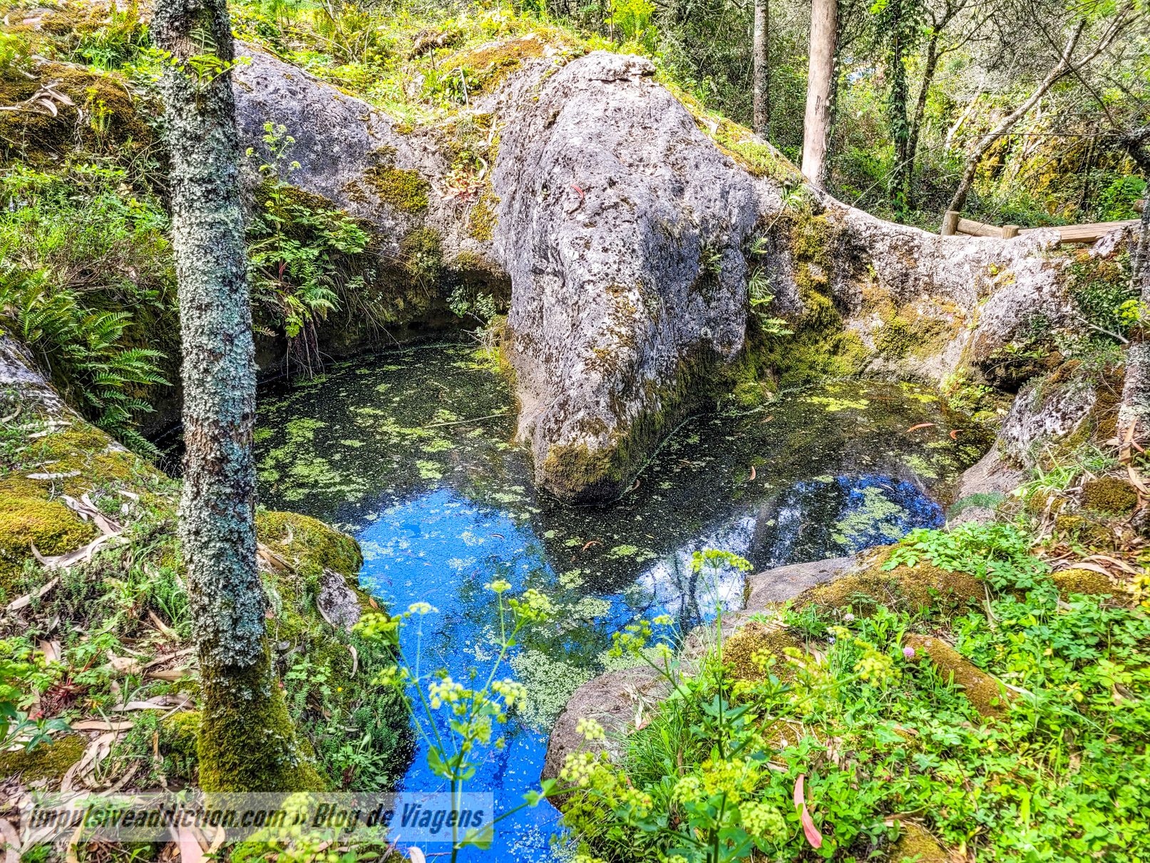 Parque Sensorial da Pia do Urso