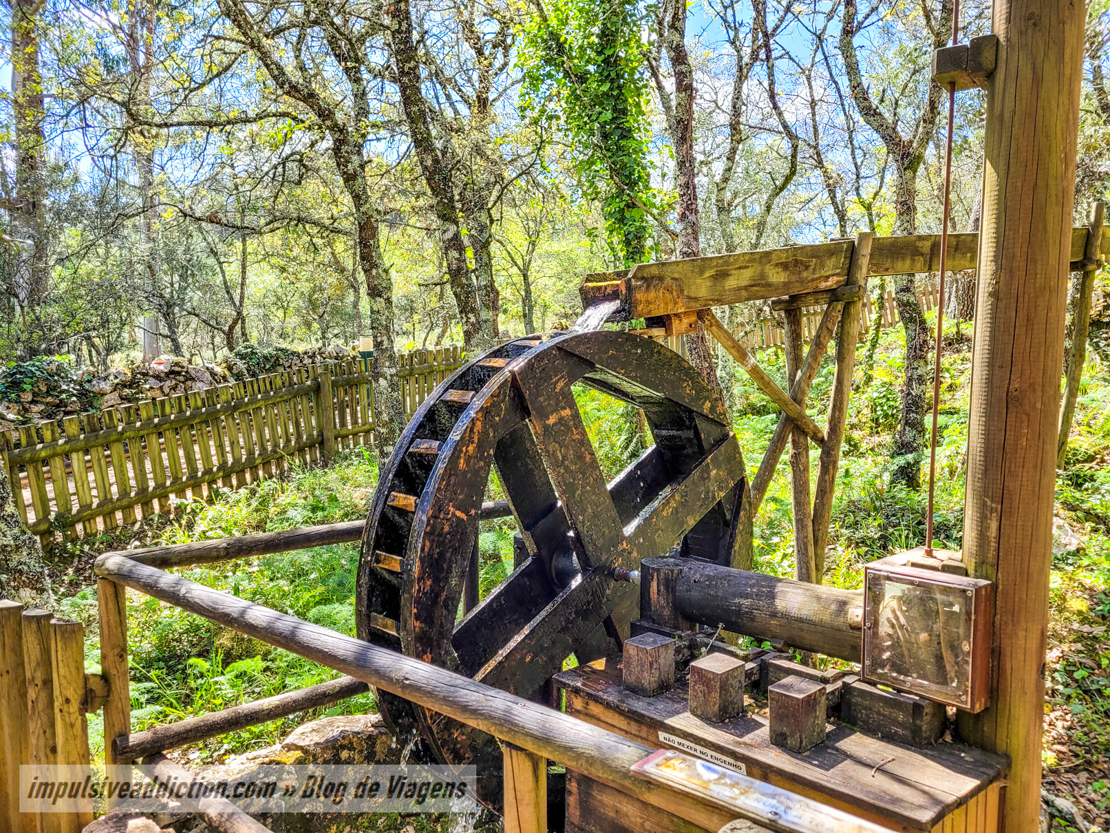 Pia do Urso Sensory Ecopark