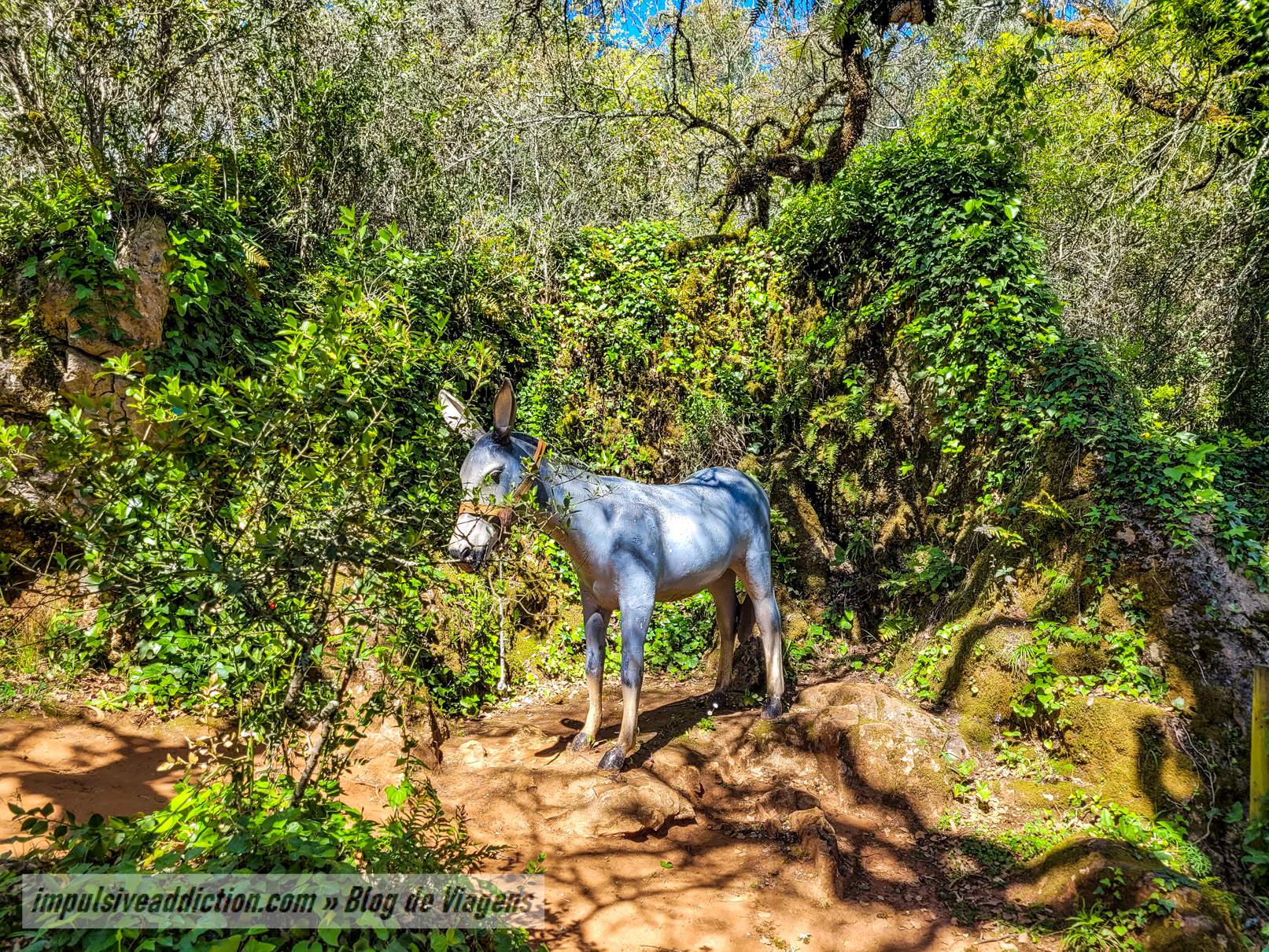 Parque Sensorial da Pia do Urso