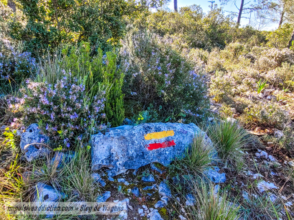Detalhes da Rota dos Moinhos de Pia do Urso, e o alecrim