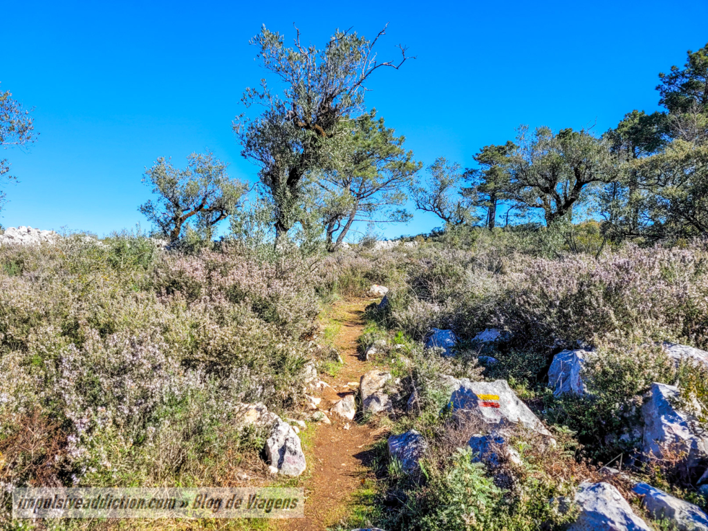 Caminhos do Monte na Rota dos Moinhos da Pia do Urso