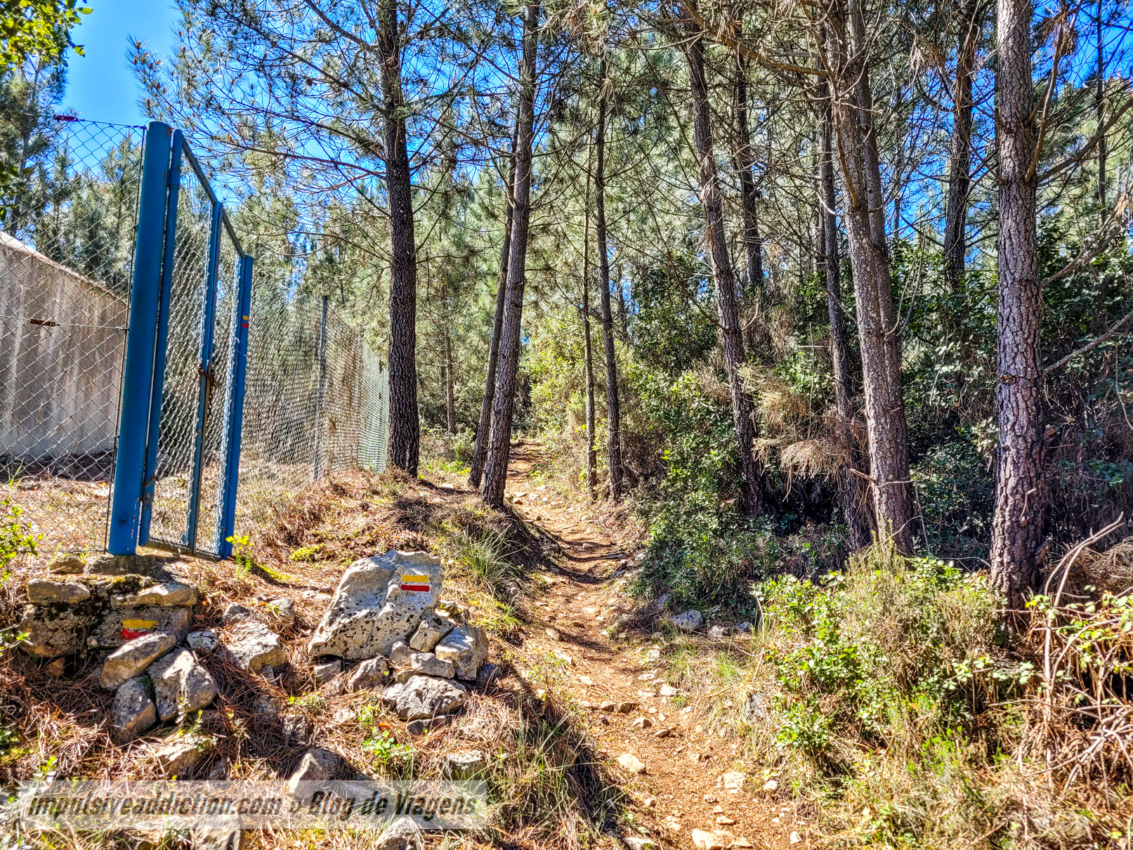 Nova subida para o monte