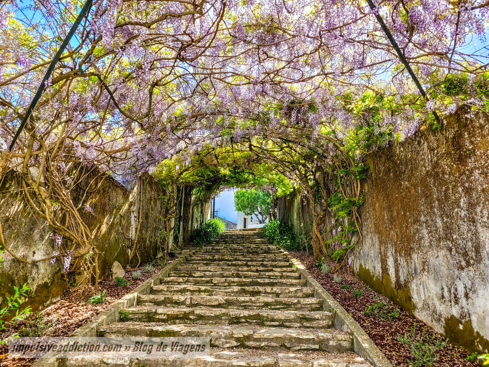 Tunnel of flowers in the Medieval Town of Ourém