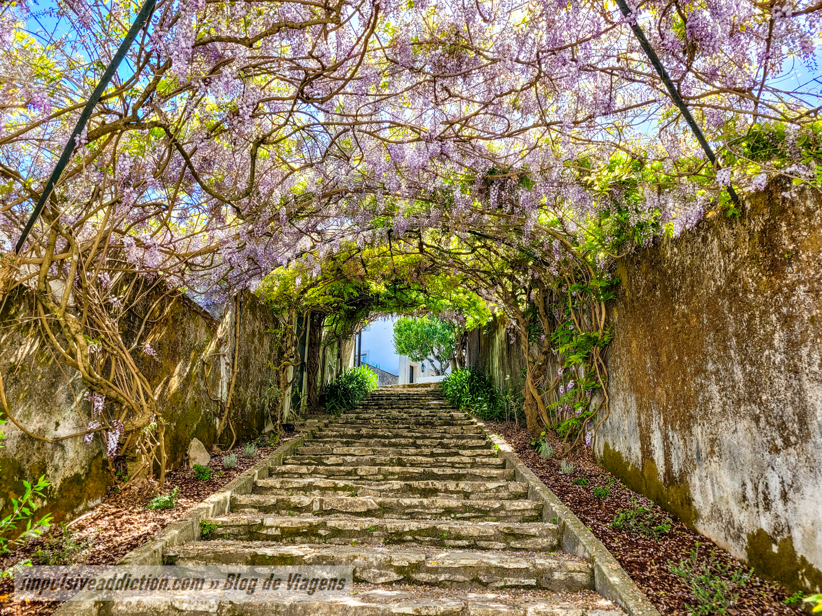 Túnel de flores na Vila Medieval de Ourém