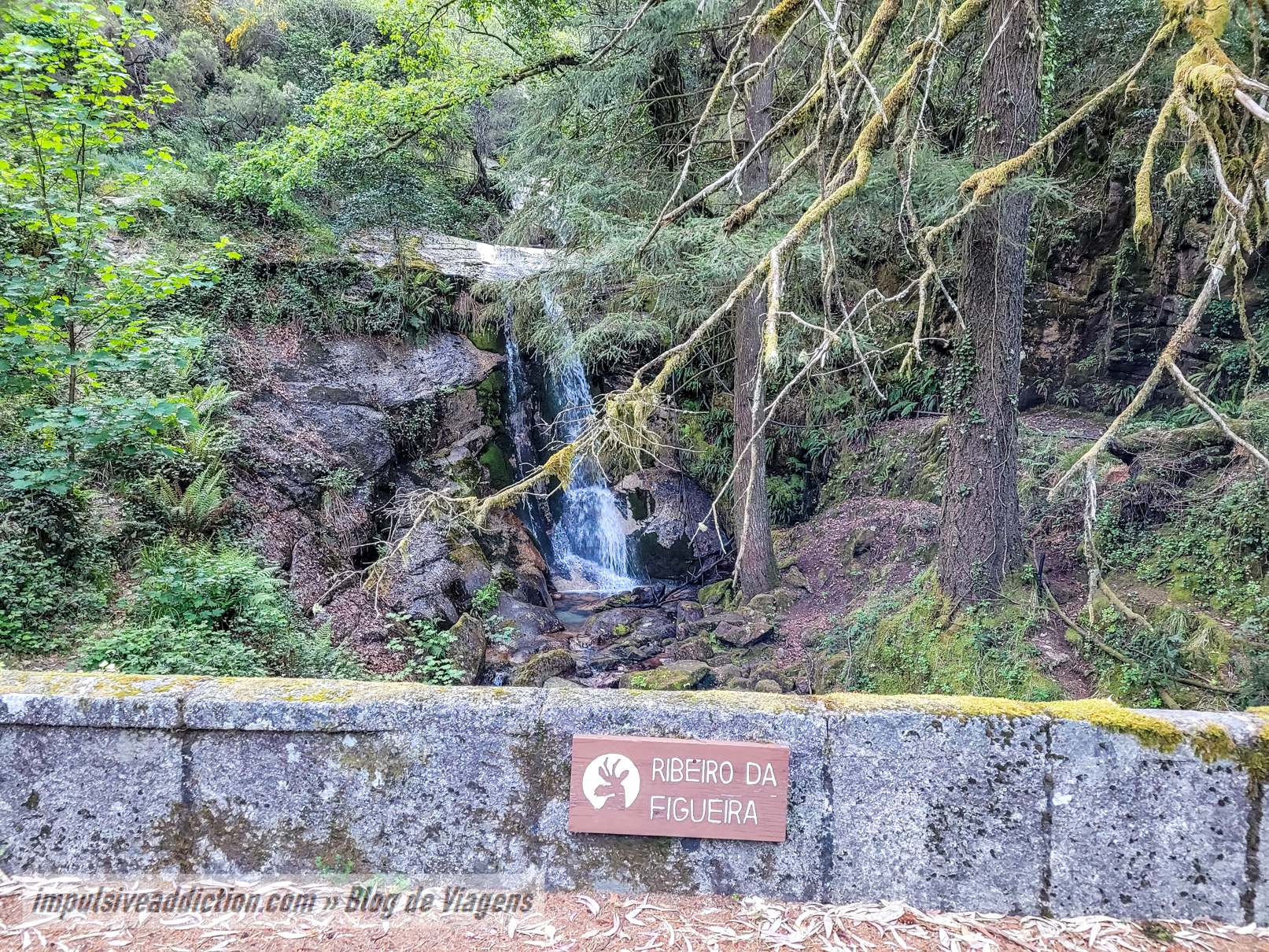 Cascata do Ribeiro da Figueira