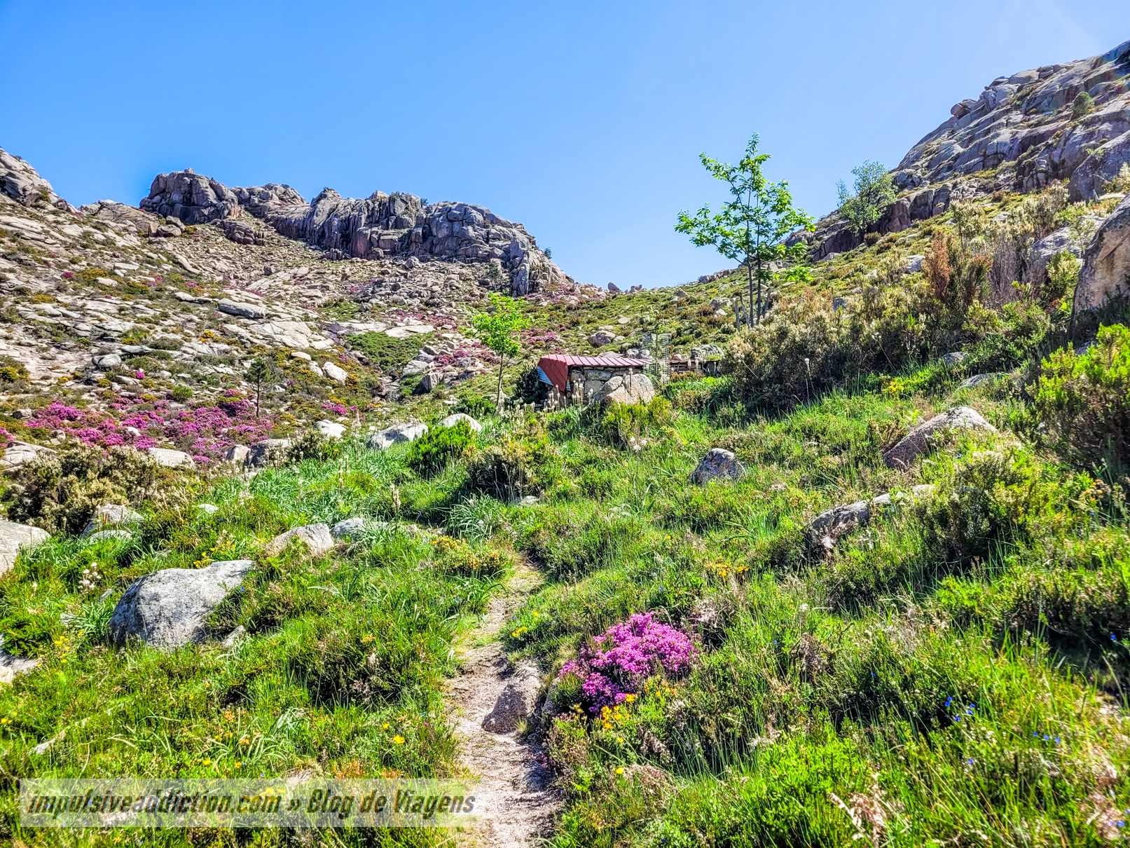 Chegada ao Curral da Arrocela