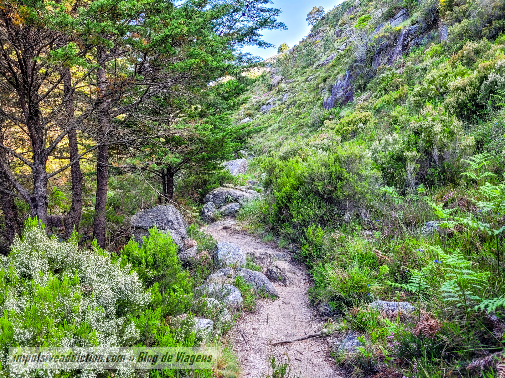 A Caminho do Curral da Giesteira