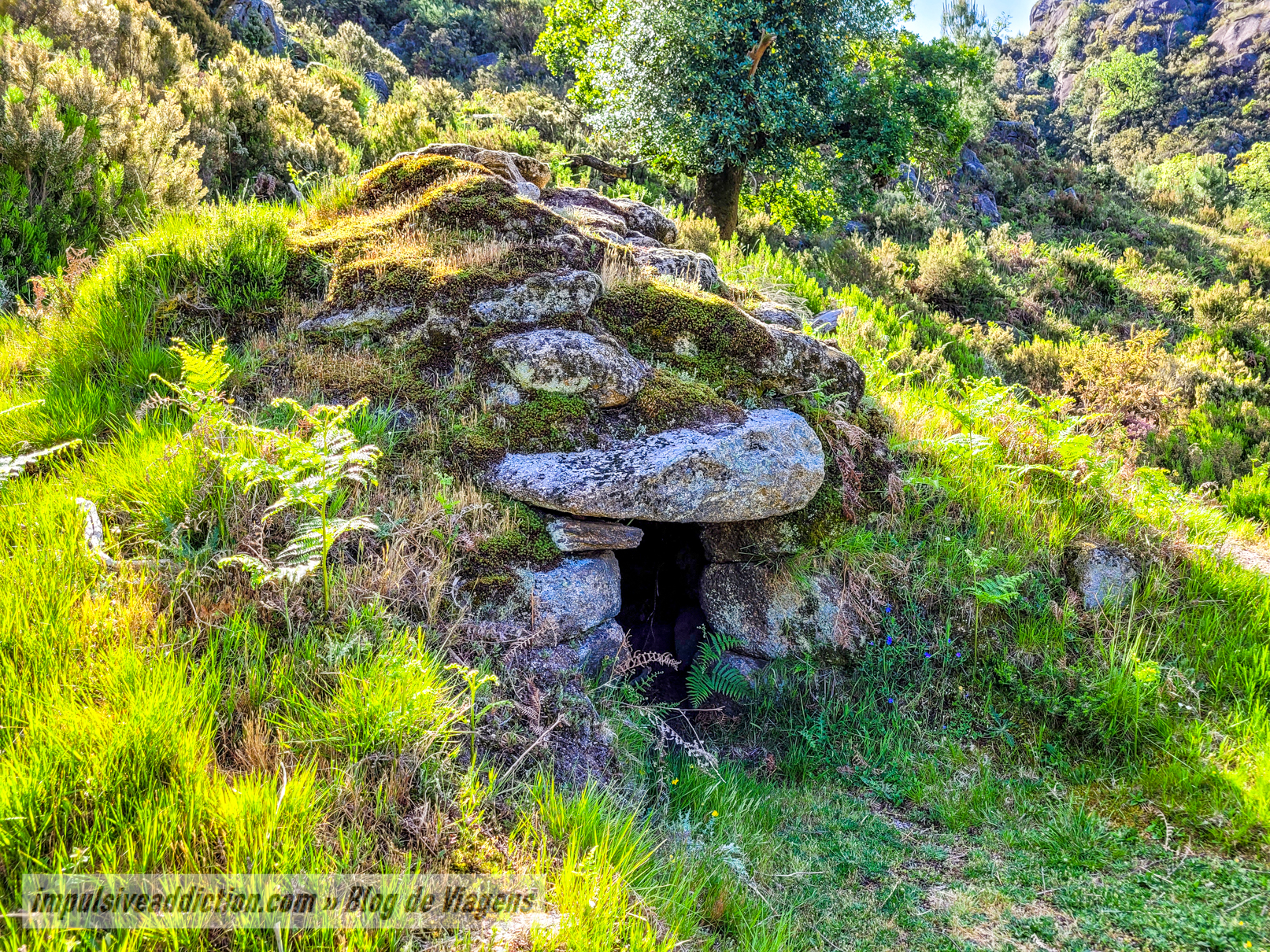 Curral da Giesteira