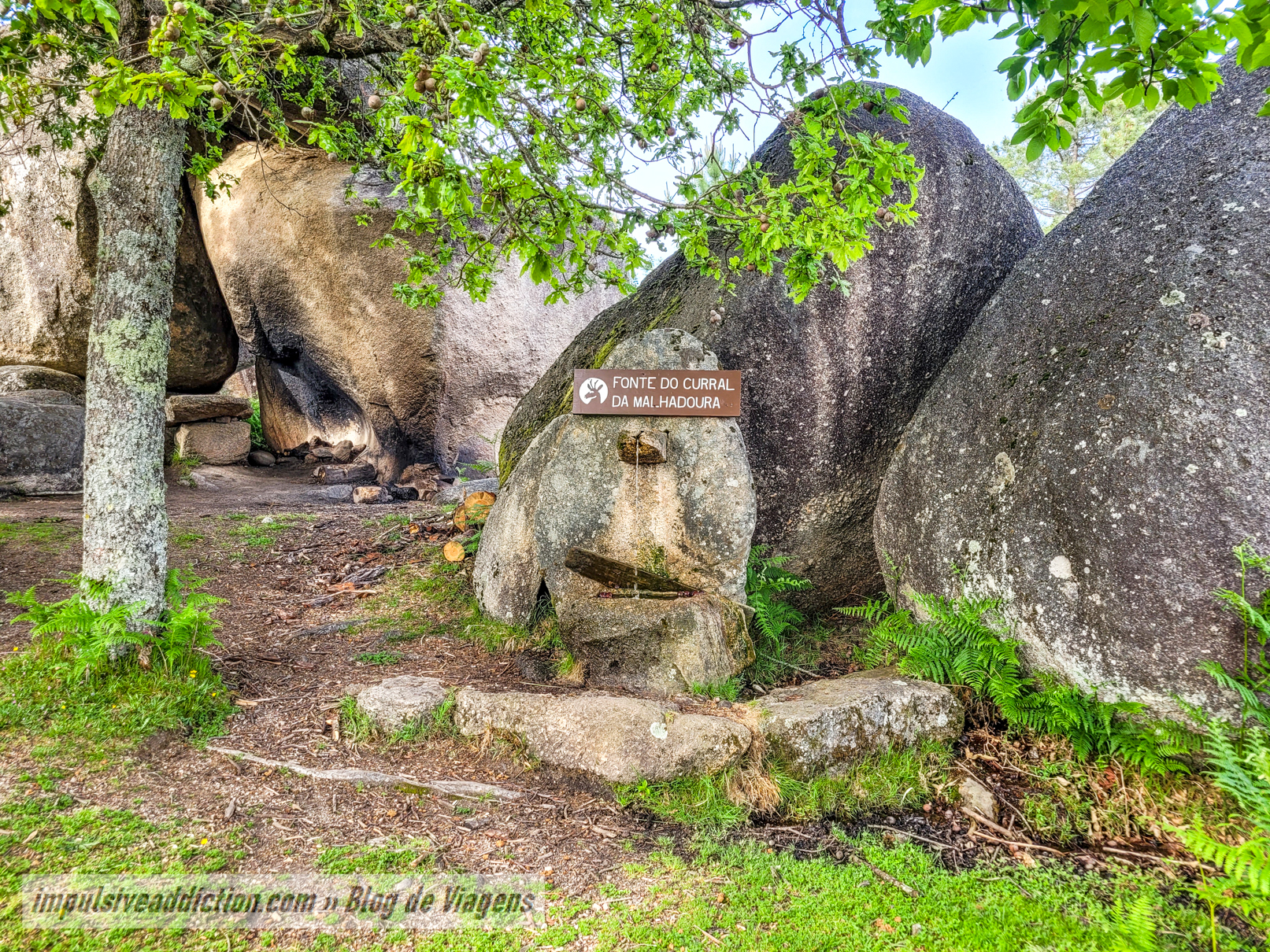 Fonte do Curral da Malhadoura