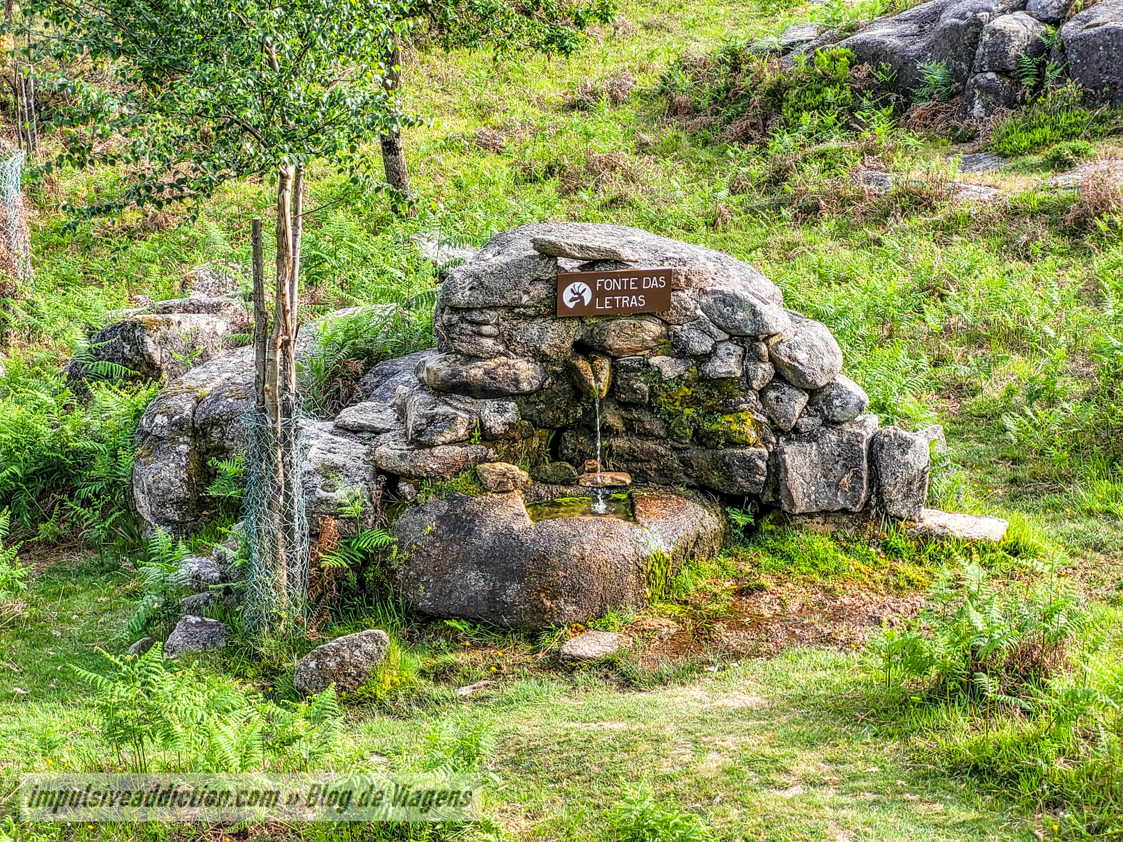 Fonte das Letras
