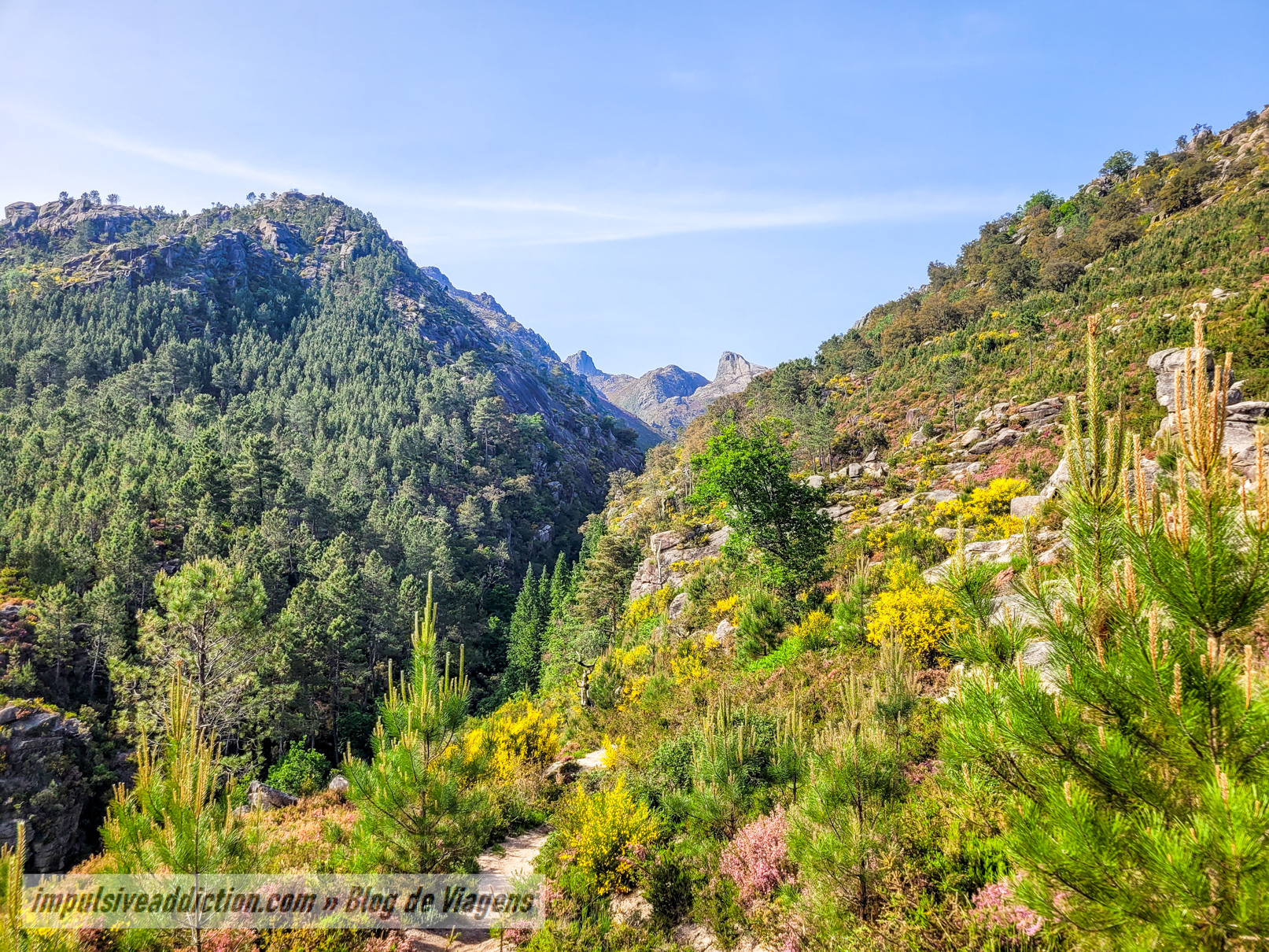 Miradouro para o Pico da Rocalva e Cutelo de Pias
