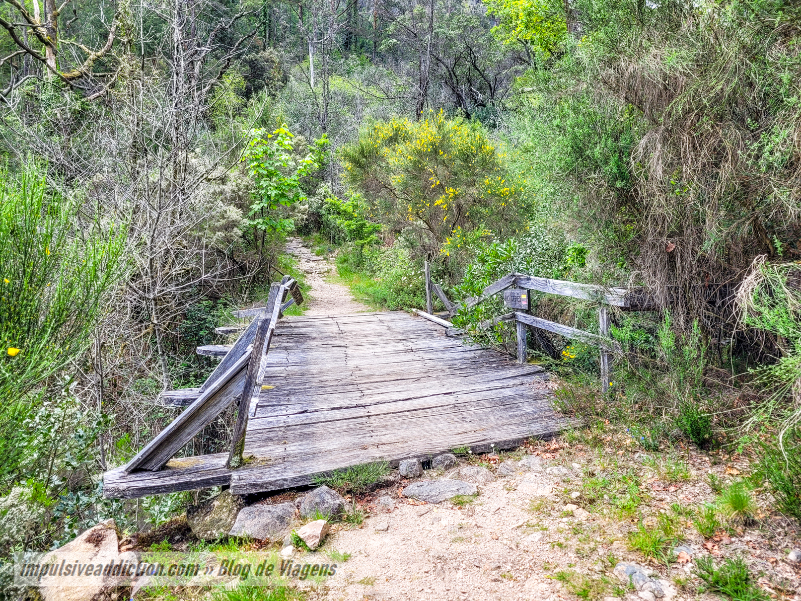 Ponte de Madeira sobre o Rio Gerês
