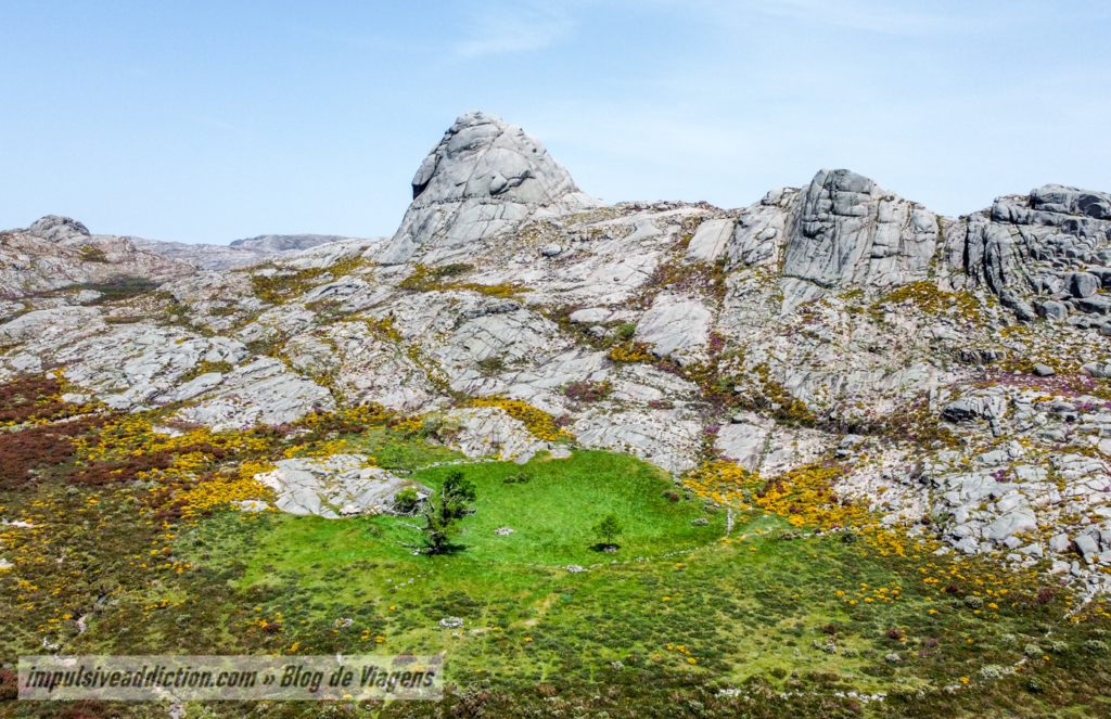 Prado da Rocalva