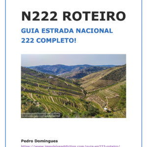 Roteiro N222 PDF - Douro