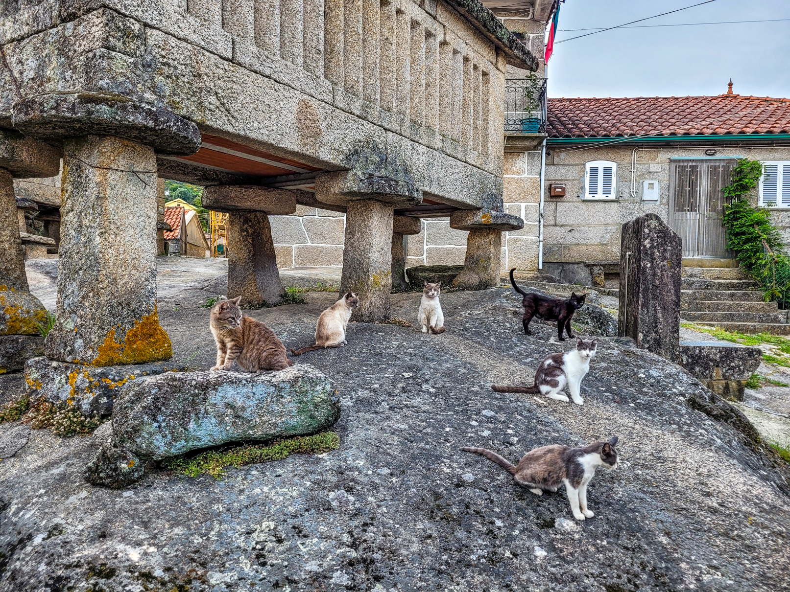 Visit Soajo in Arcos de Valdevez