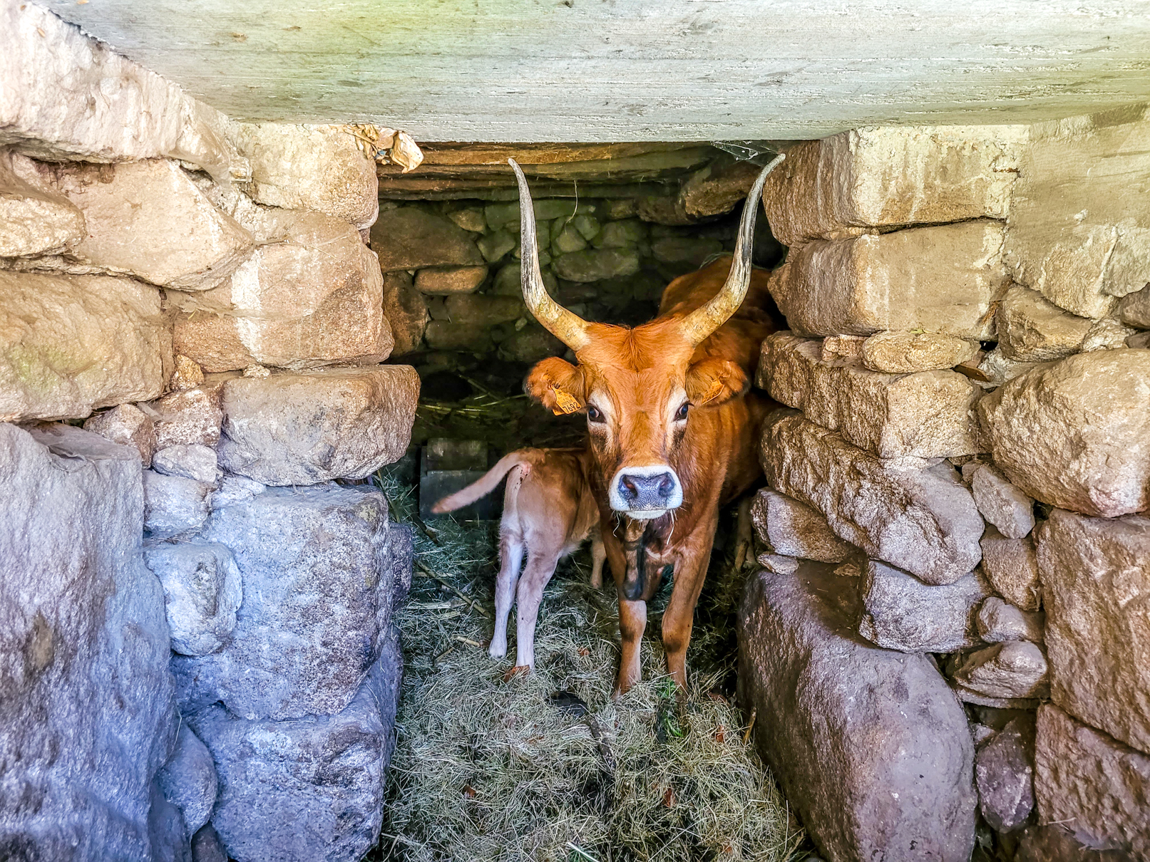 Visitar a Aldeia da Ermida