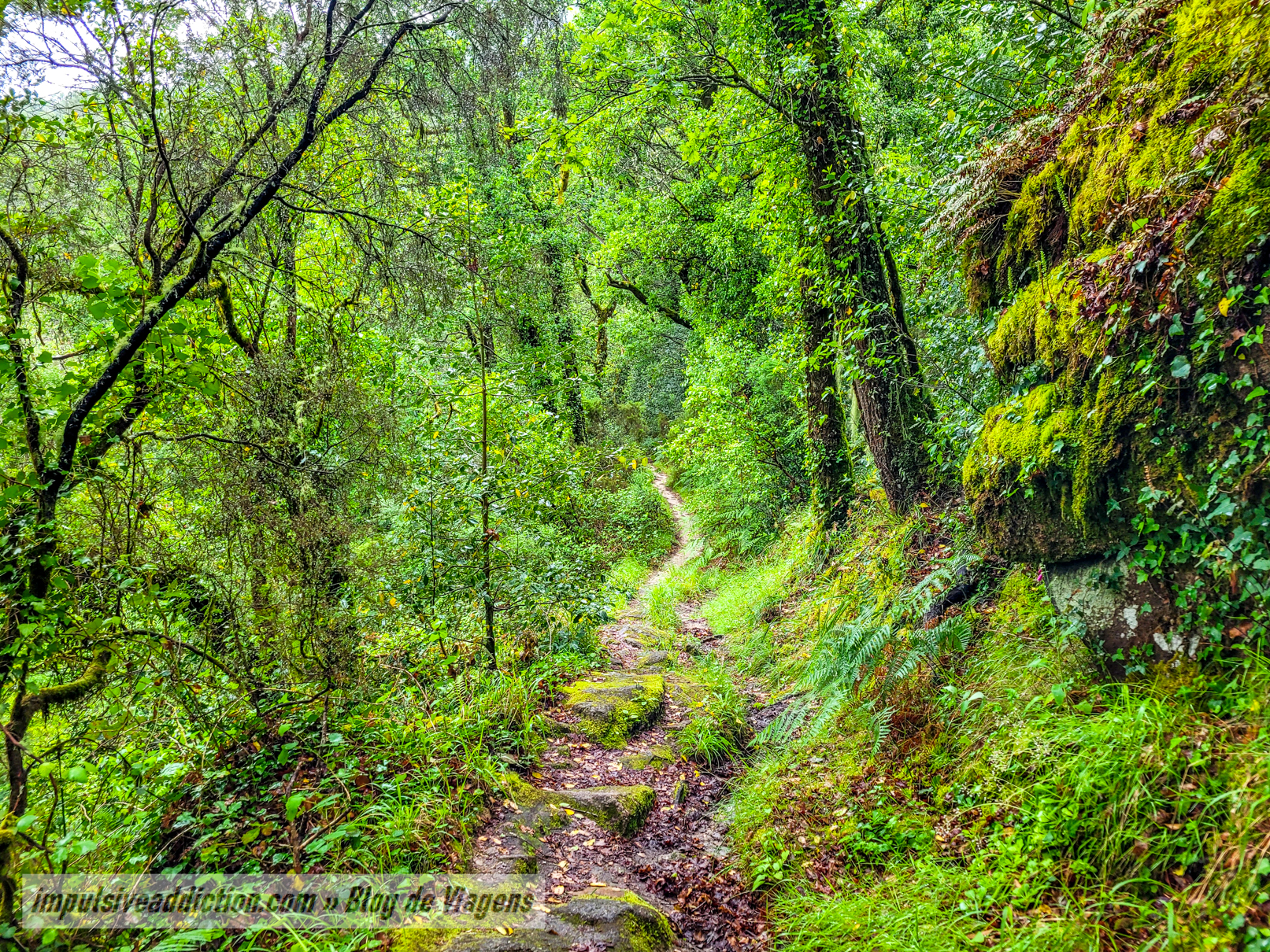 Caminho de descida à Ponte de Palheiros