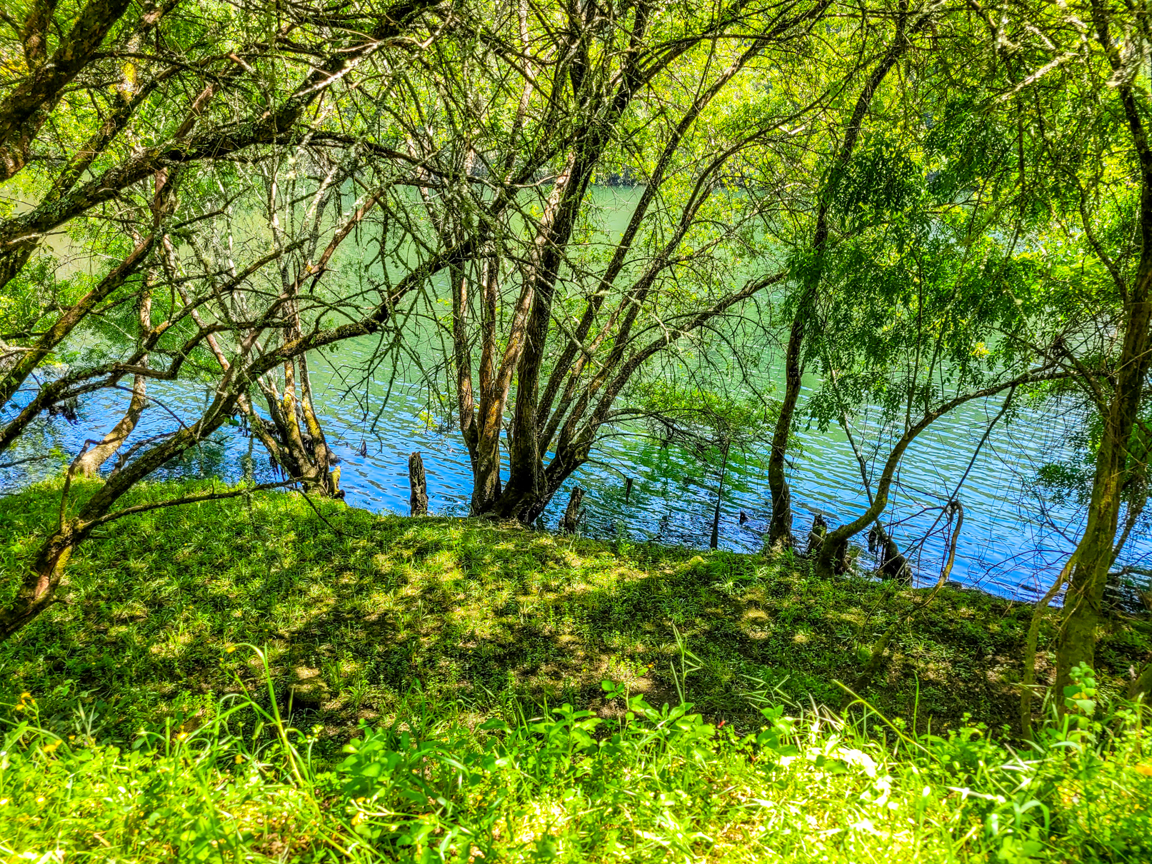 Ecovia do Ermelo junto do rio Lima