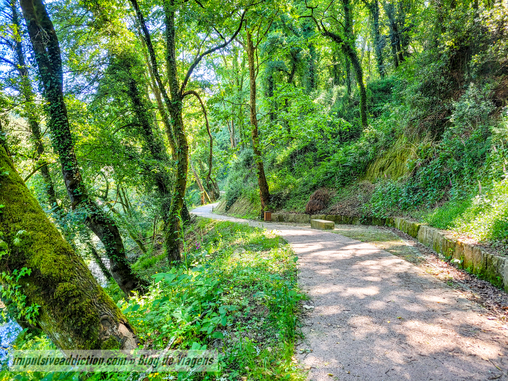 Ecovia do Rio Homem ao visitar Terras de Bouro