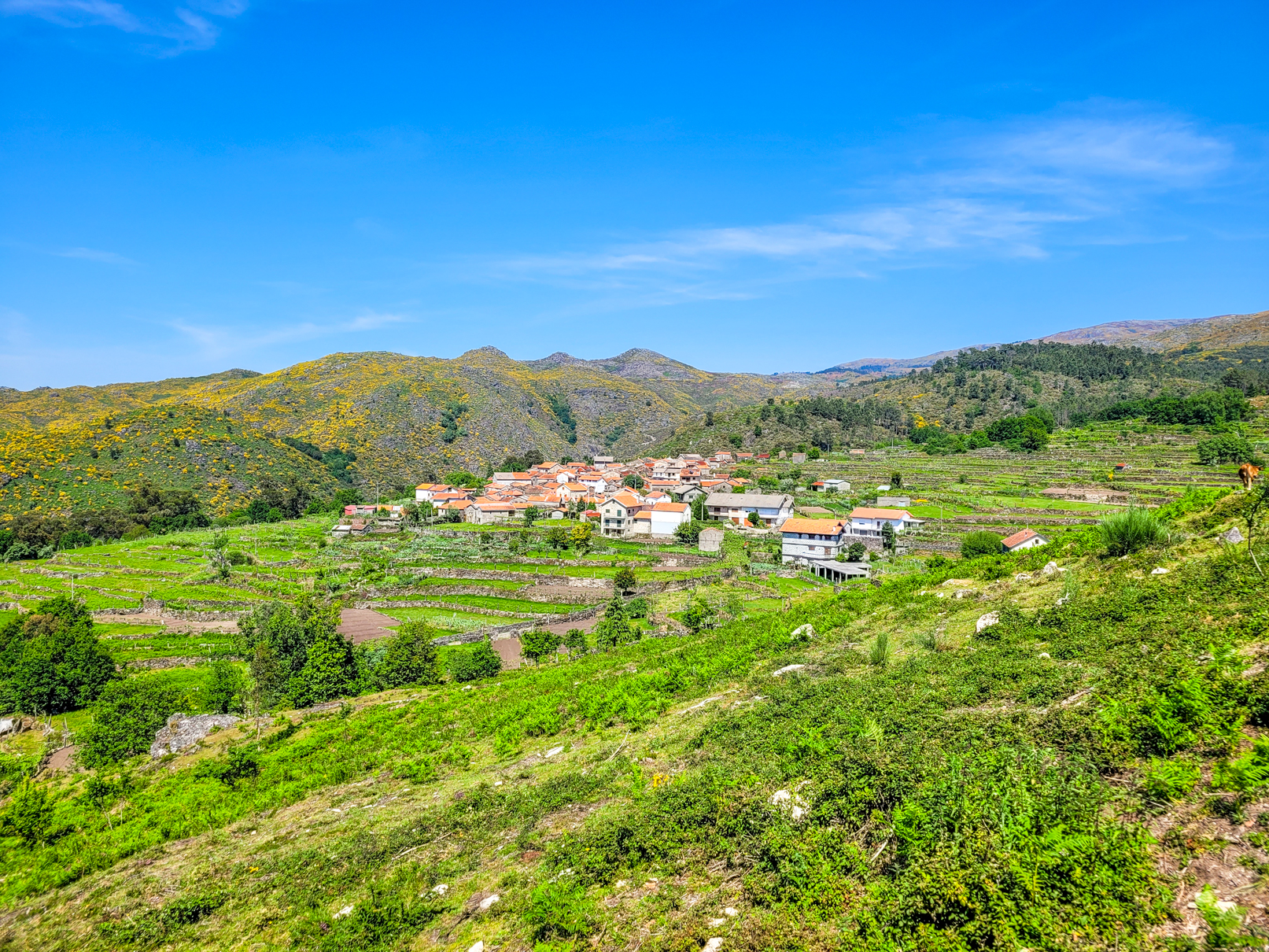 Miradouro da Ermida
