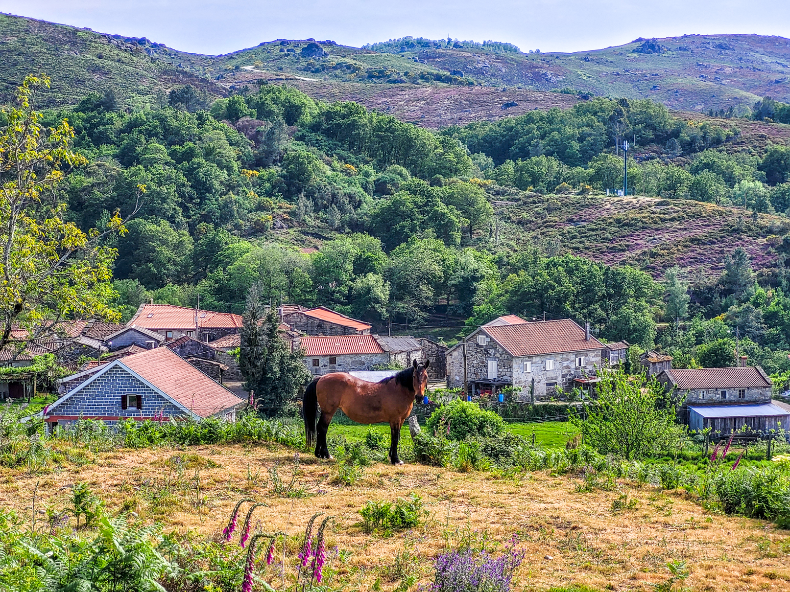 Aldeia de Germil ao visitar Ponte da Barca