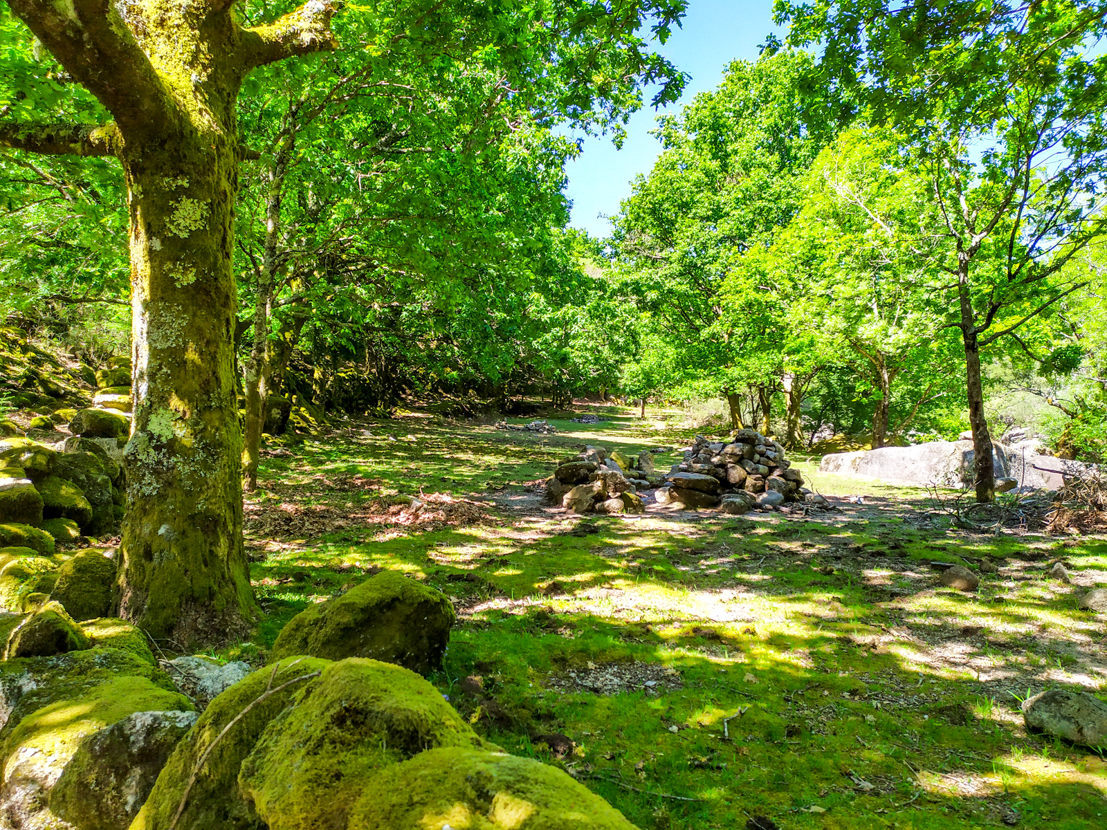 Trilho até à Lagoa dos Druidas